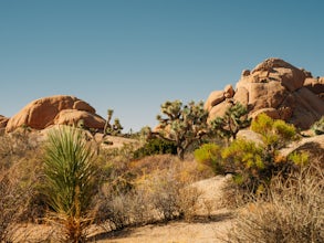 Skull Rock Trail at Joshua Tree National Park