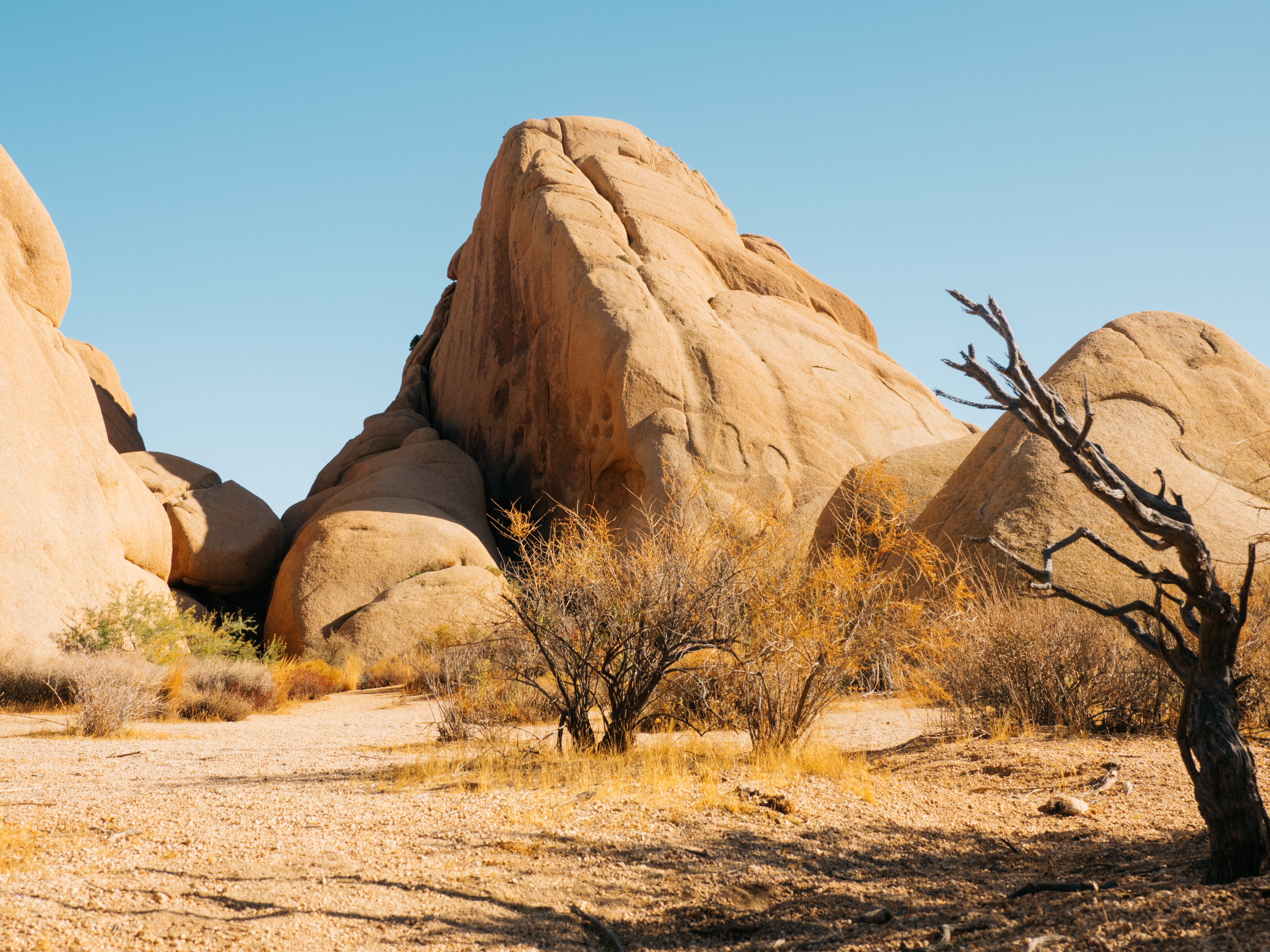 Skull Rock Trail at Joshua Tree National Park