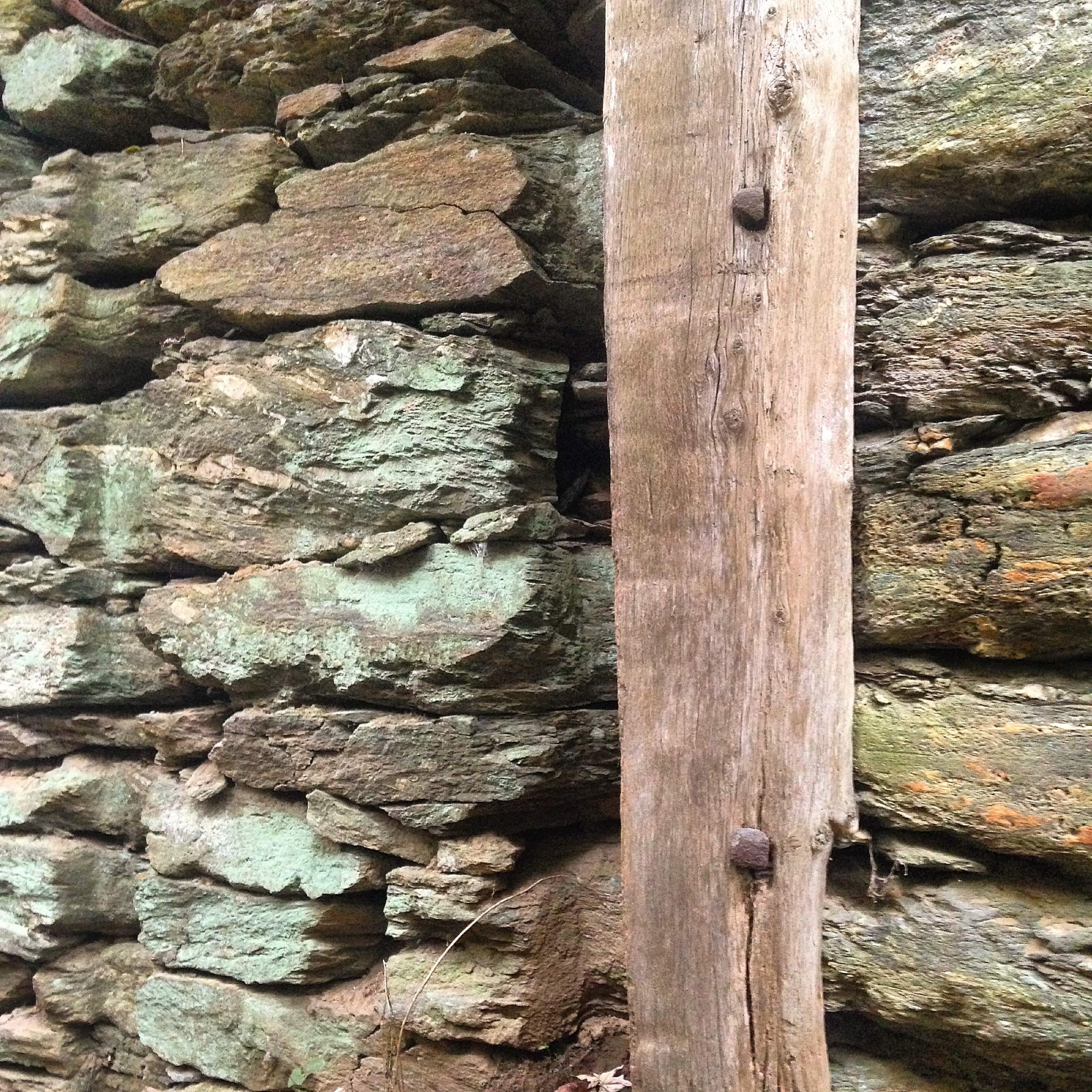 Hike the Mason-Dixon Trail to Peavine Island 