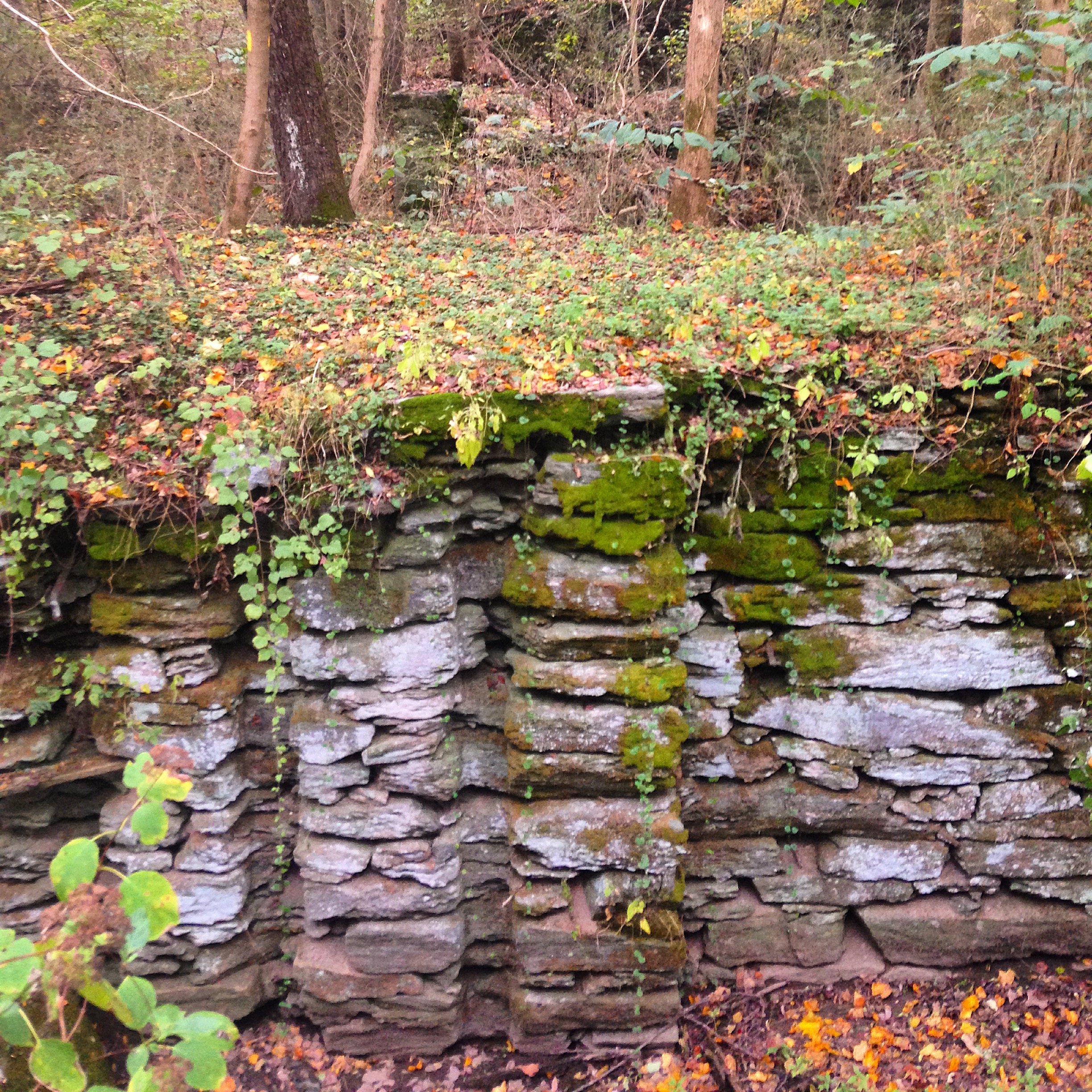 Hike the Mason-Dixon Trail to Peavine Island 