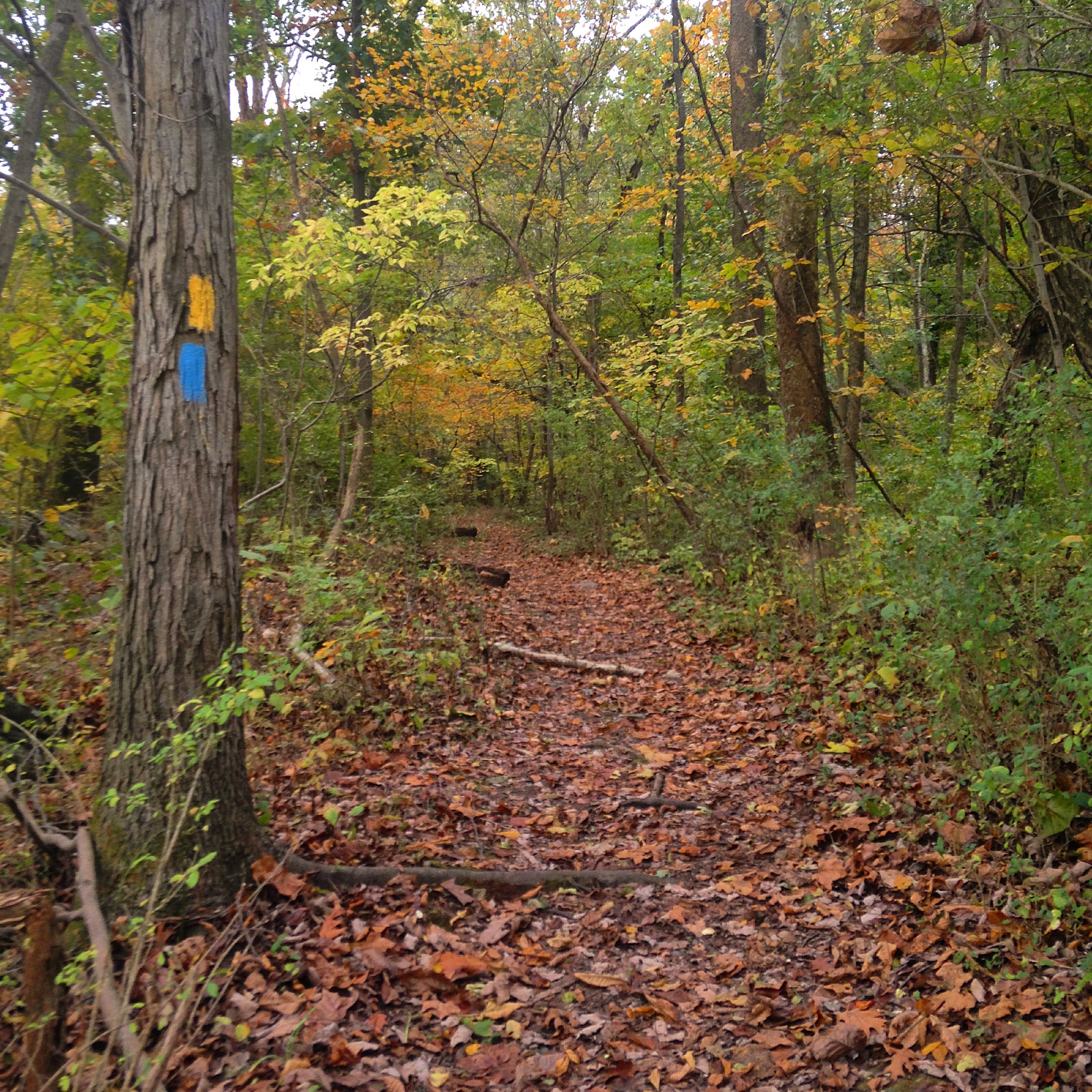 Hike the Mason-Dixon Trail to Peavine Island 