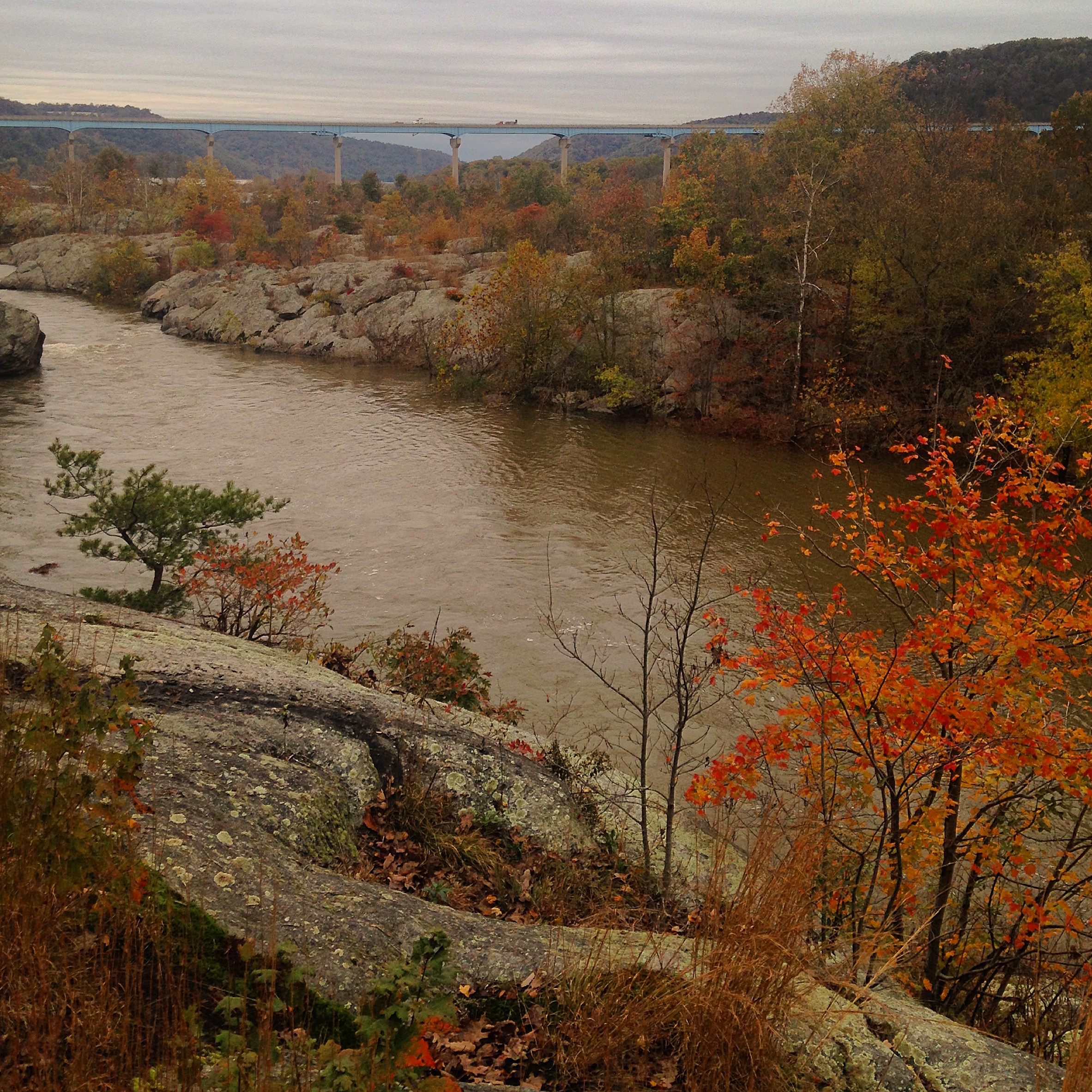 Hike the Mason-Dixon Trail to Peavine Island 