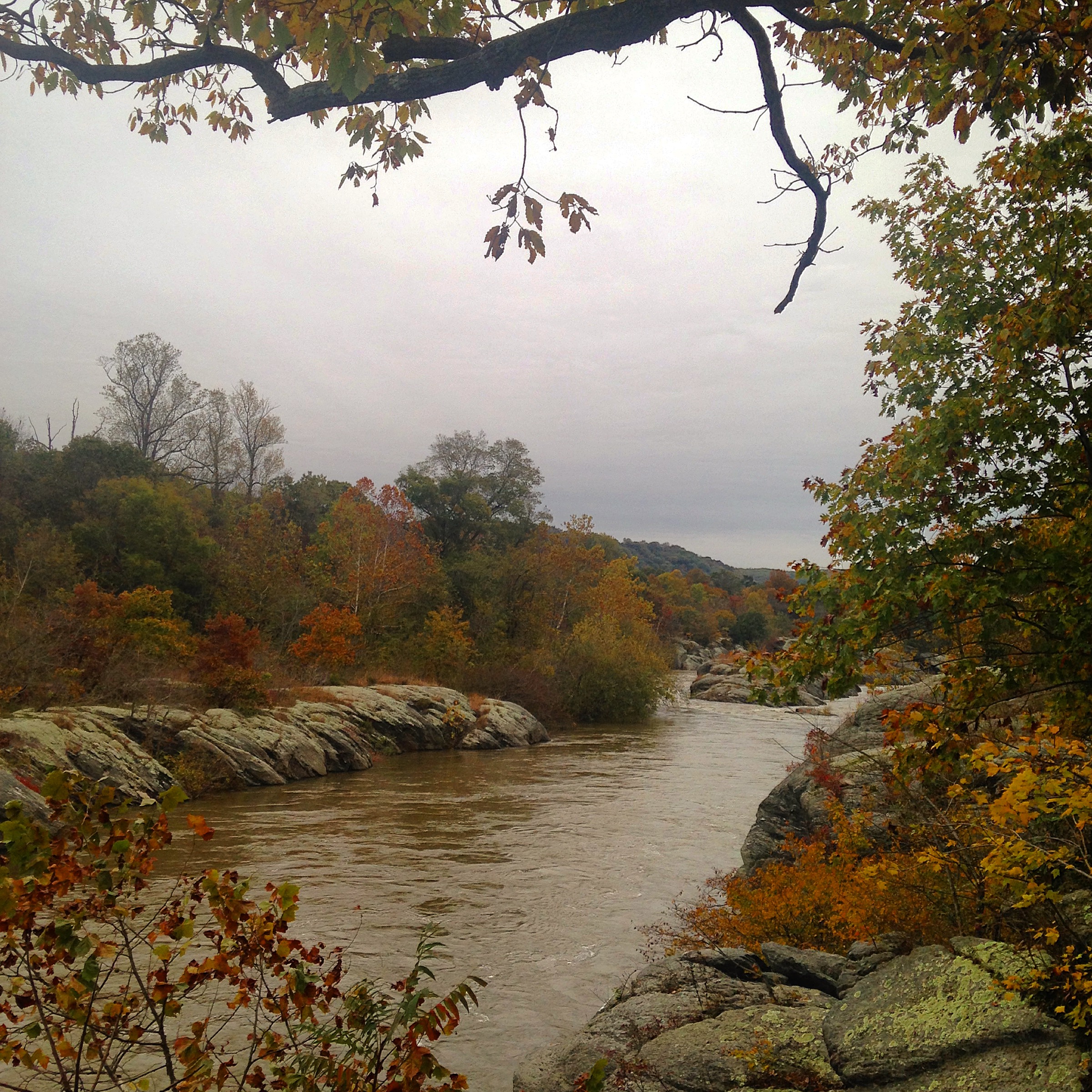 Hike the Mason-Dixon Trail to Peavine Island 