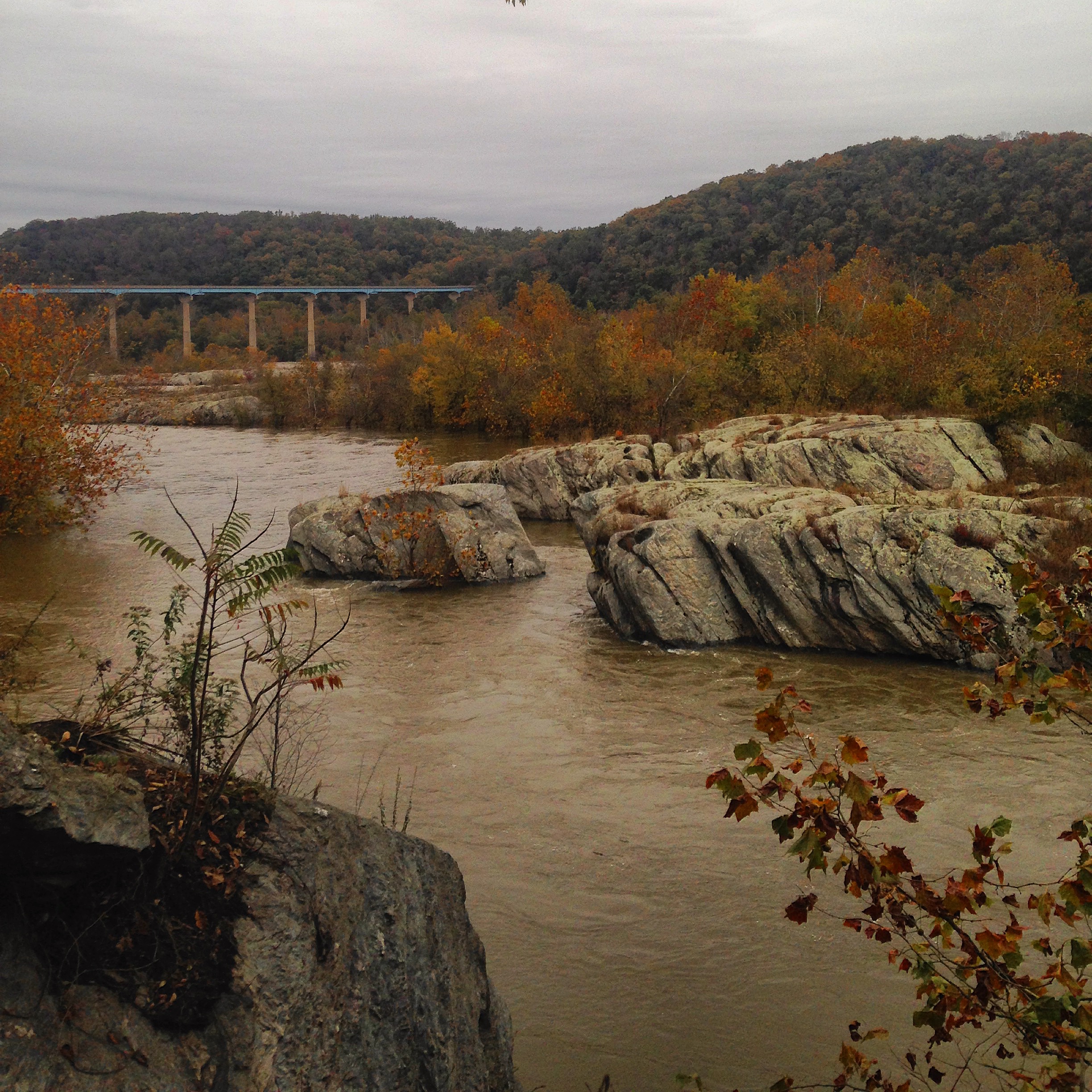 Hike the Mason-Dixon Trail to Peavine Island 