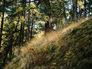 Hike Mount Grant on San Juan Island