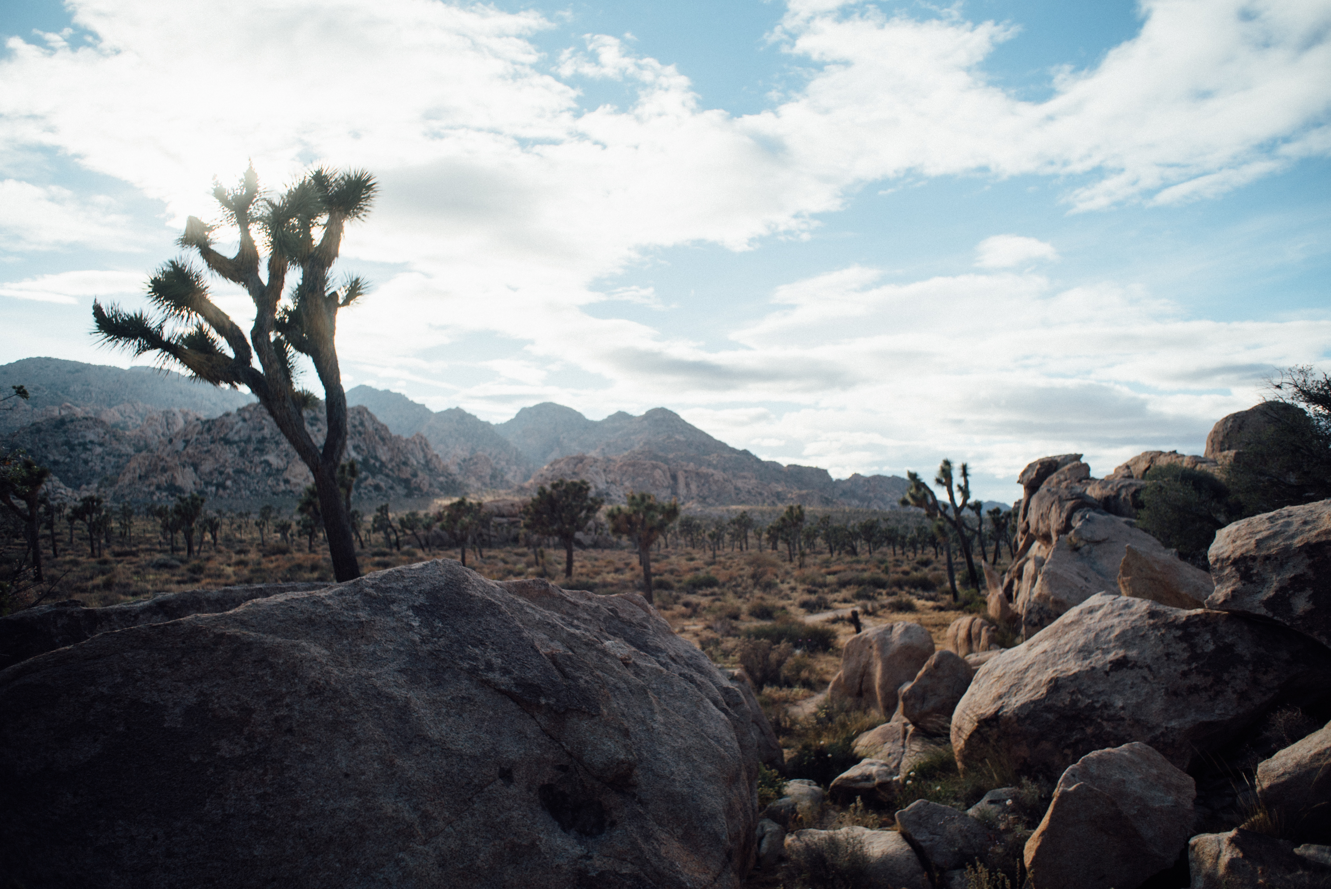 Climb The Spire in Joshua Tree National Park