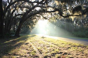 Camp on Jekyll Island