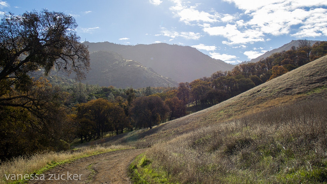 Hike the Waterfalls of Mount Diablo Loop Trail , Waterfalls of Mount ...