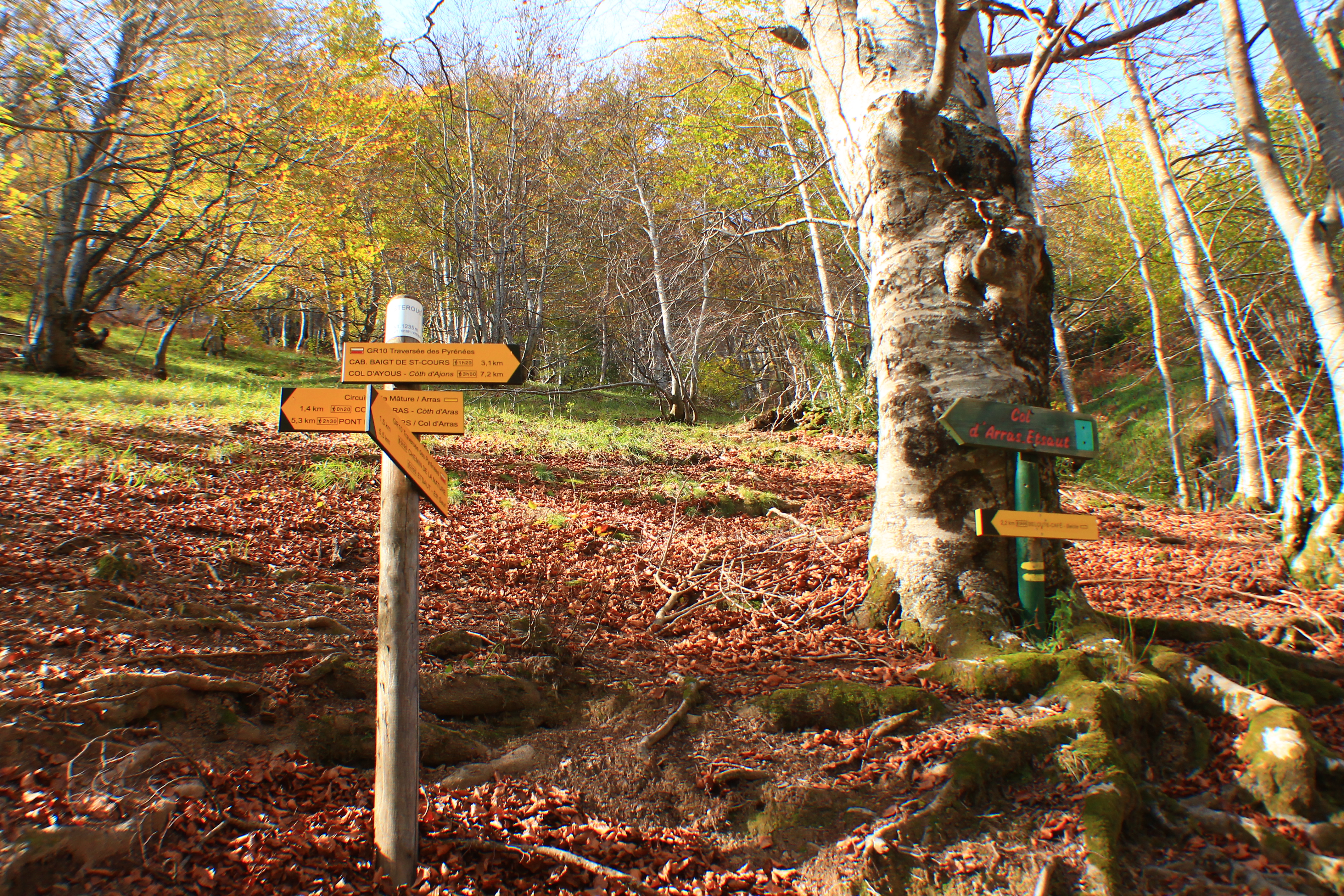 Hike through La Chemin de la Mature