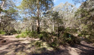 Hike the Corn Trail in Monga NP