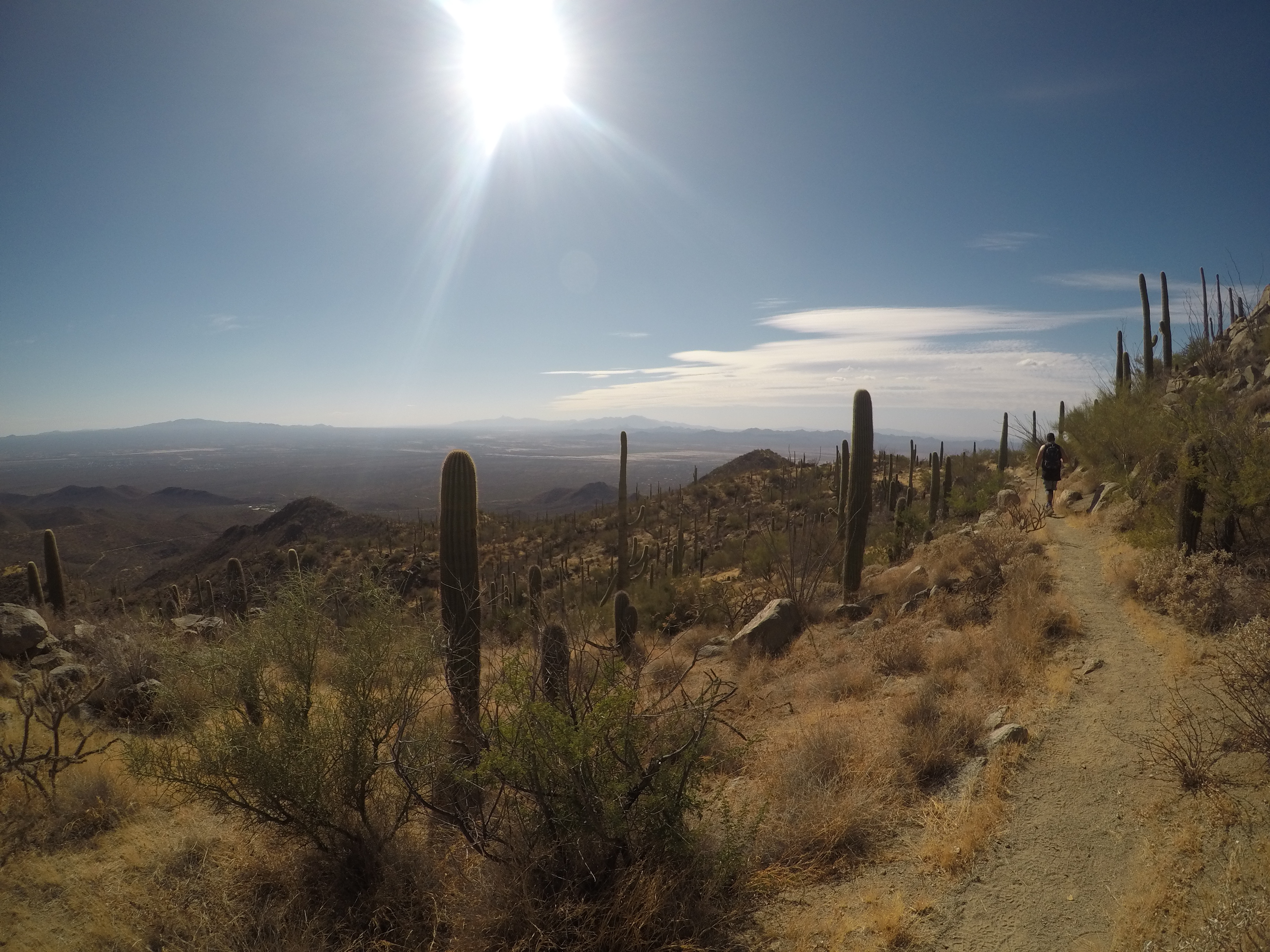 Wasson Peak