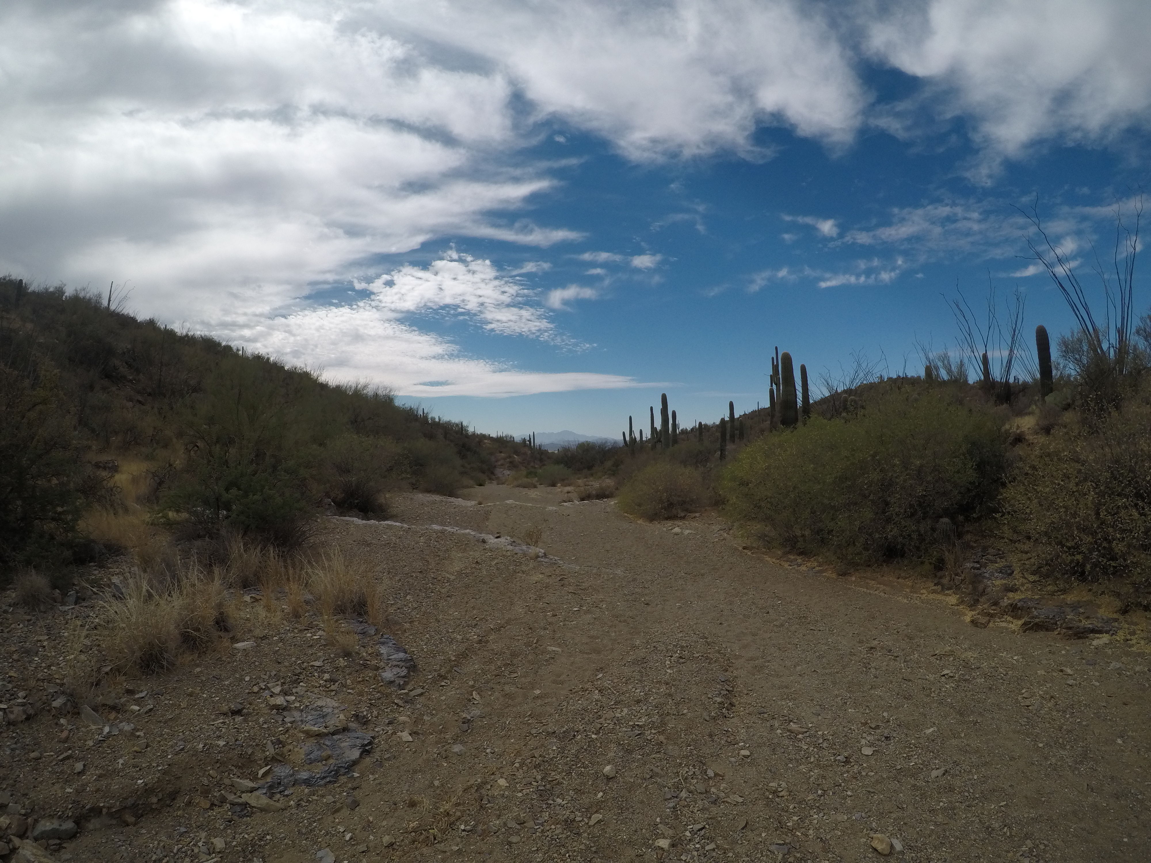 Wasson Peak