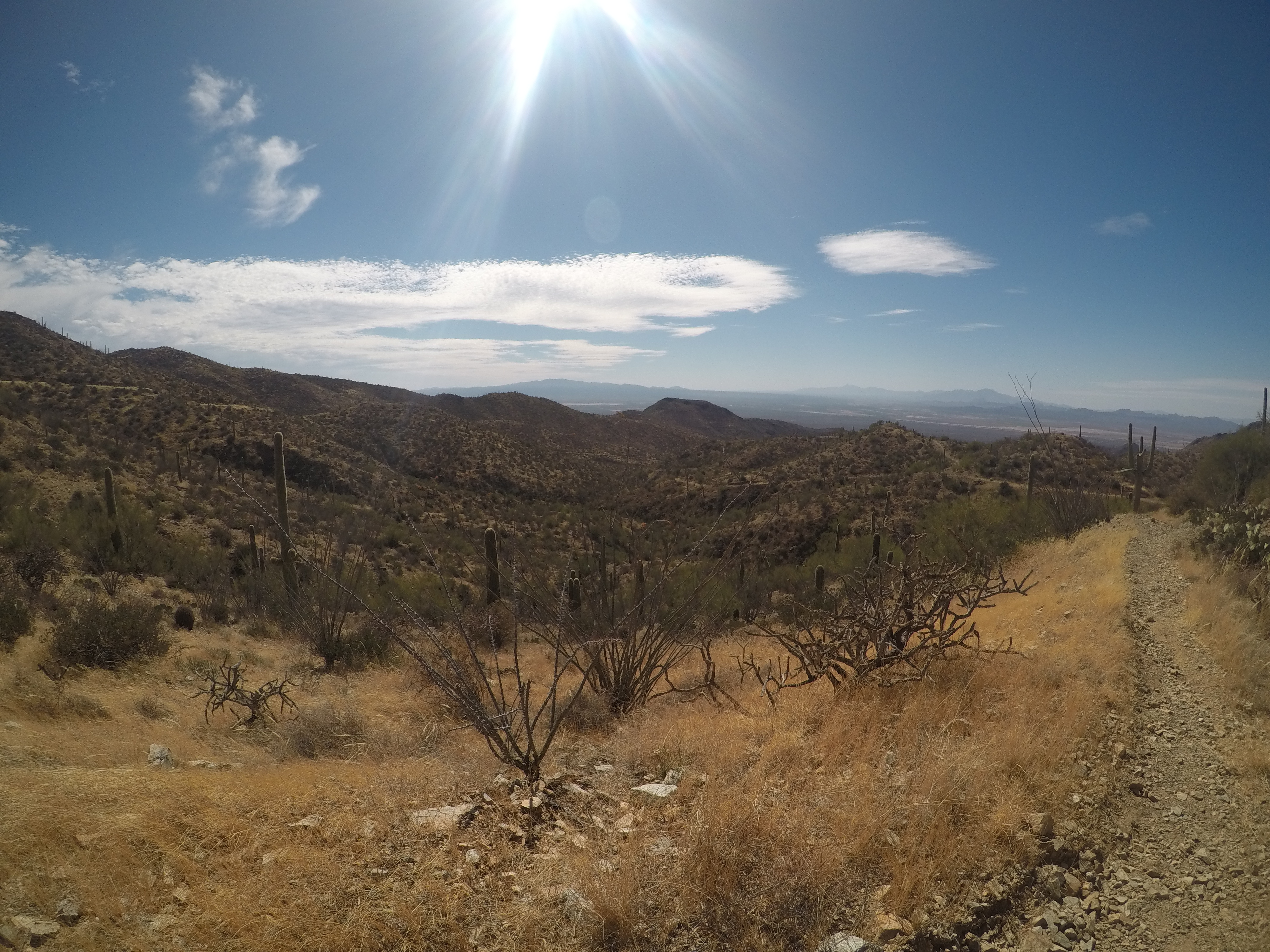 Wasson Peak