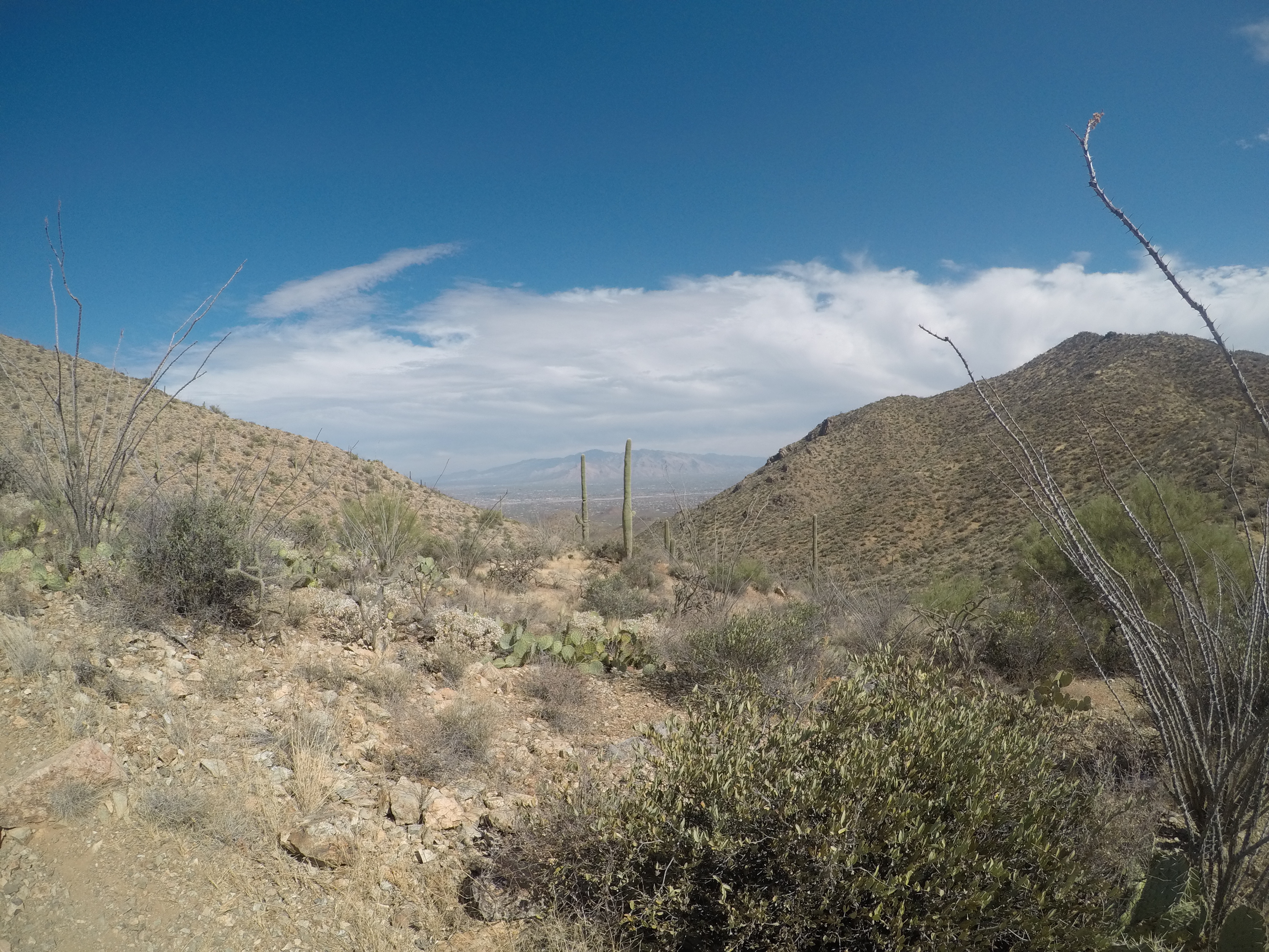 Wasson Peak