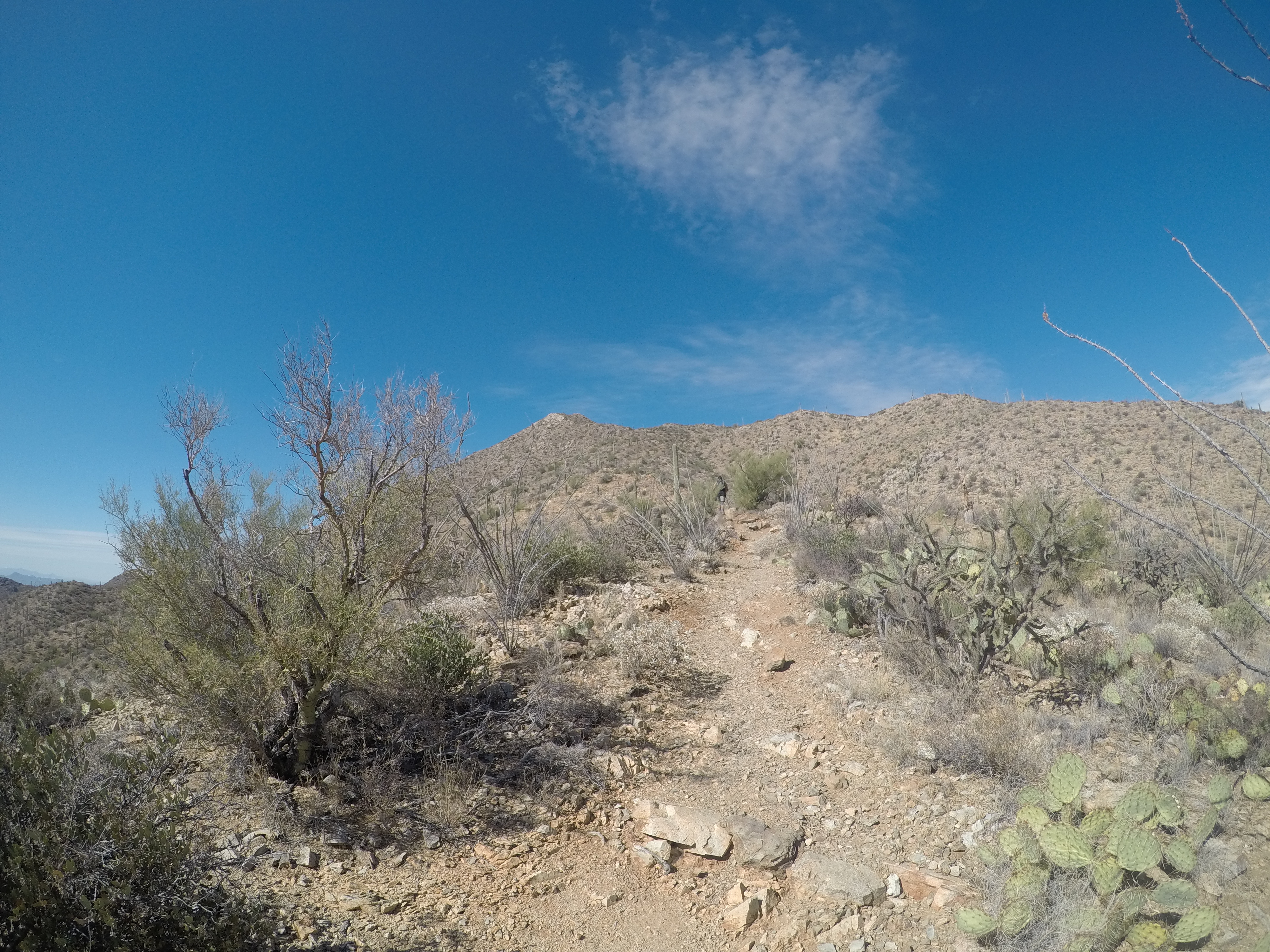 Wasson Peak