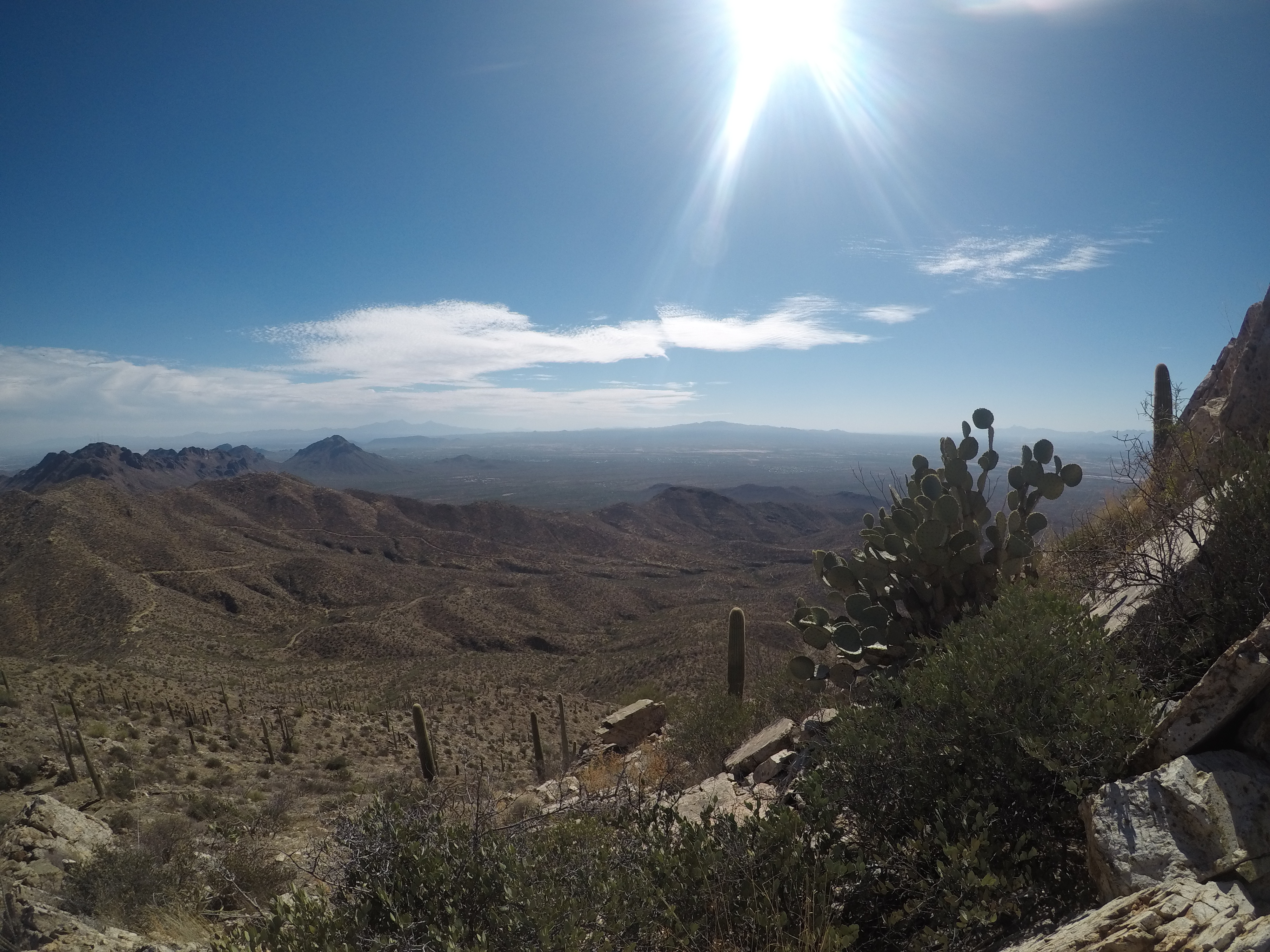 Wasson Peak