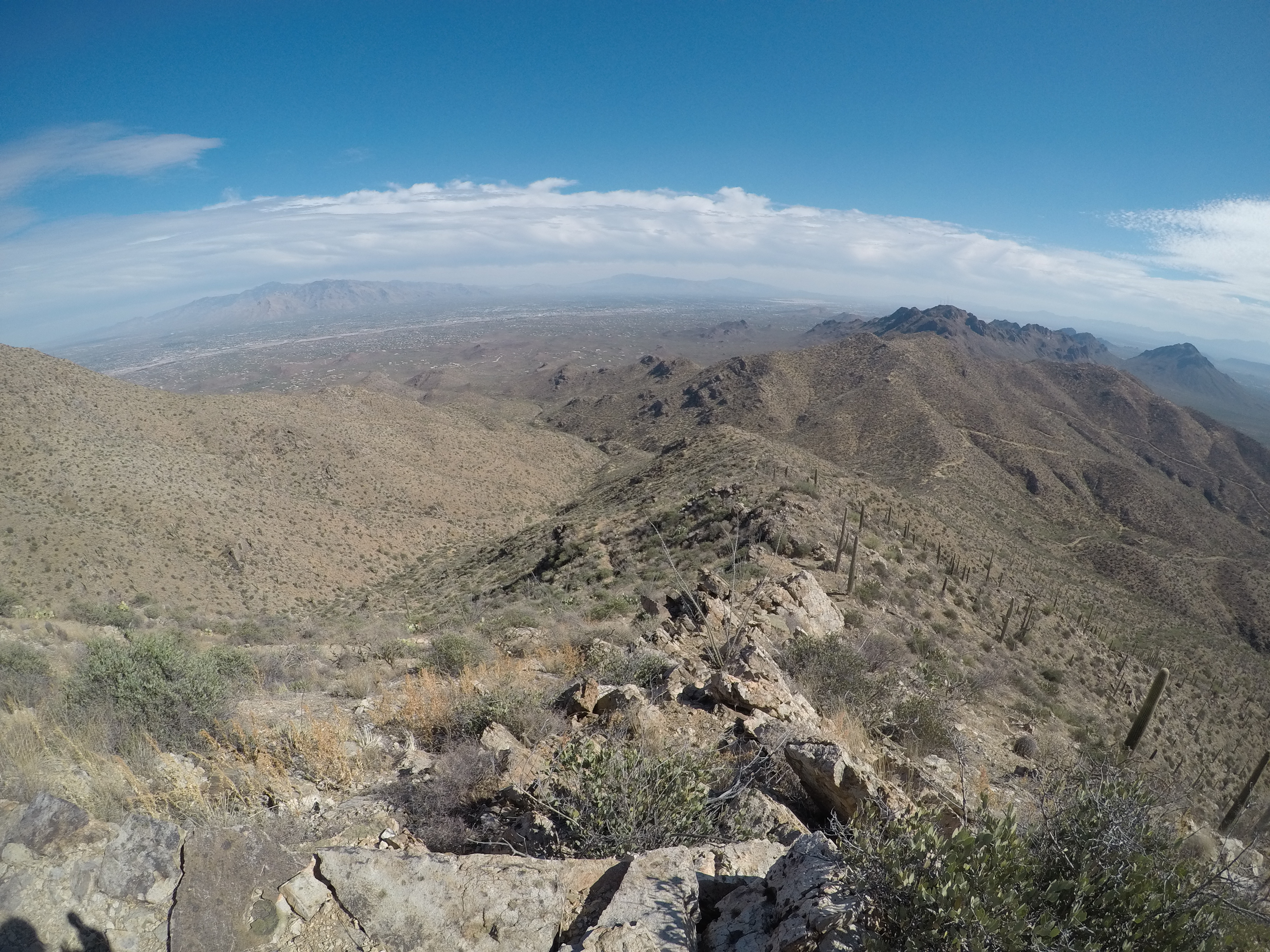 Wasson Peak