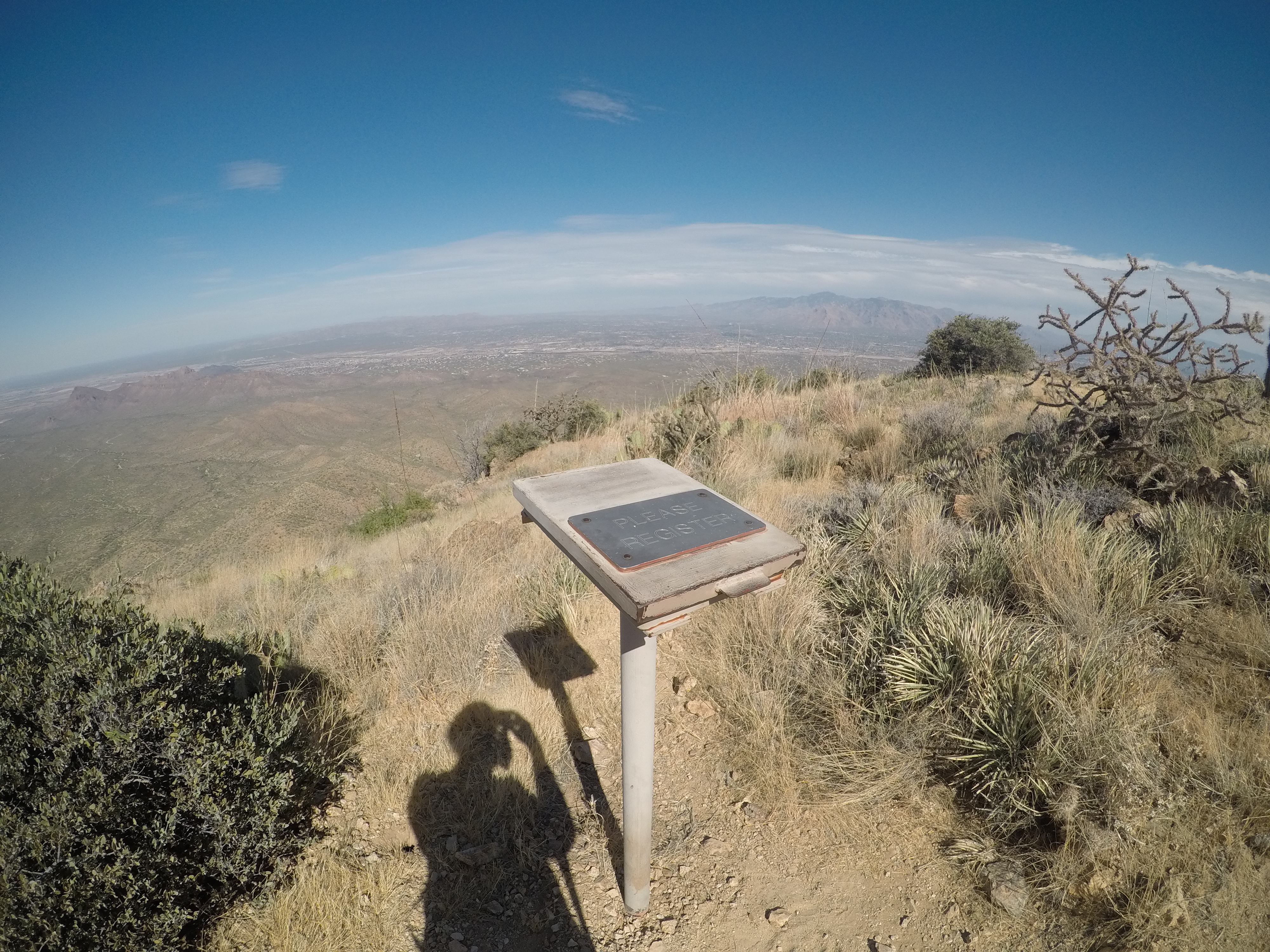 Wasson Peak