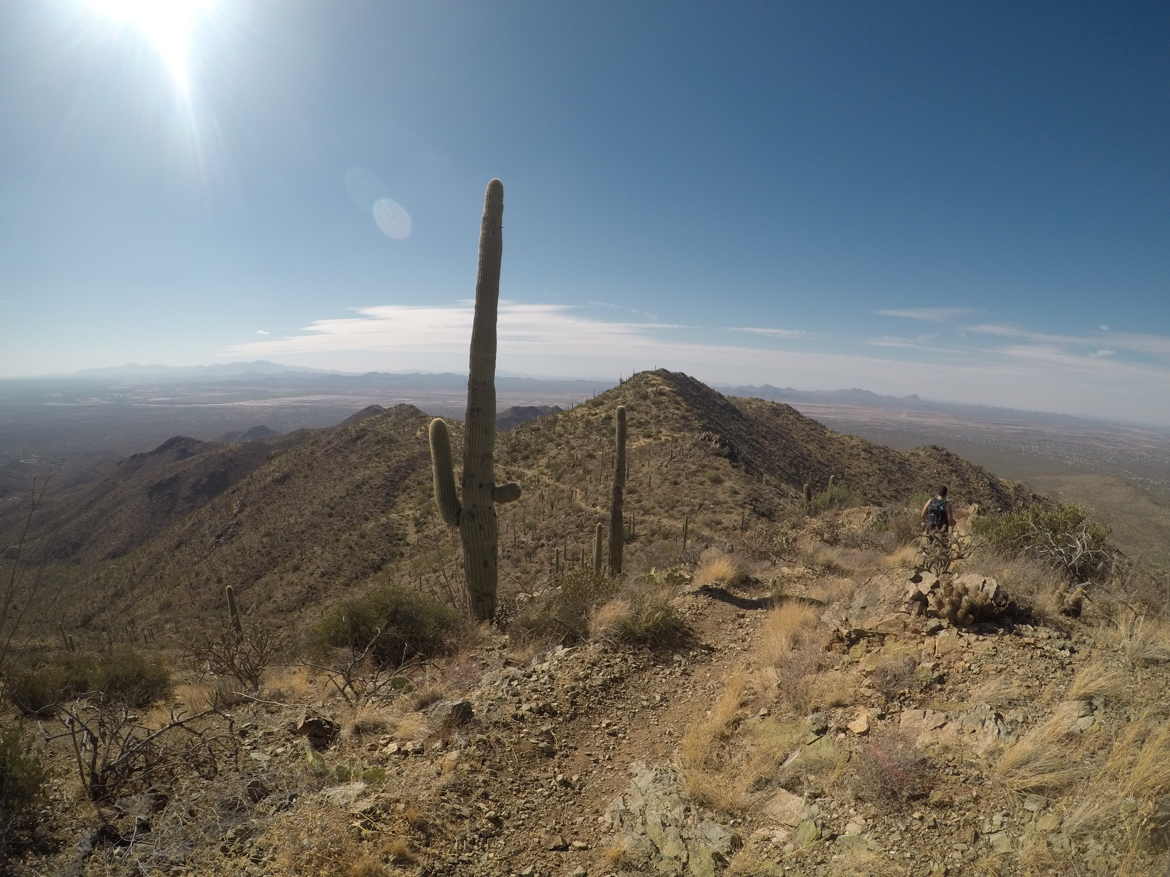 Wasson Peak