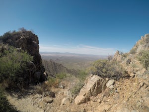 Wasson Peak