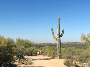 Canyon Loop Trail in Catalina State Park