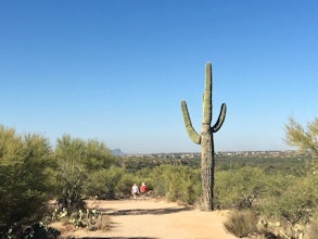 Canyon Loop Trail in Catalina State Park