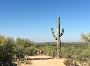Canyon Loop Trail in Catalina State Park