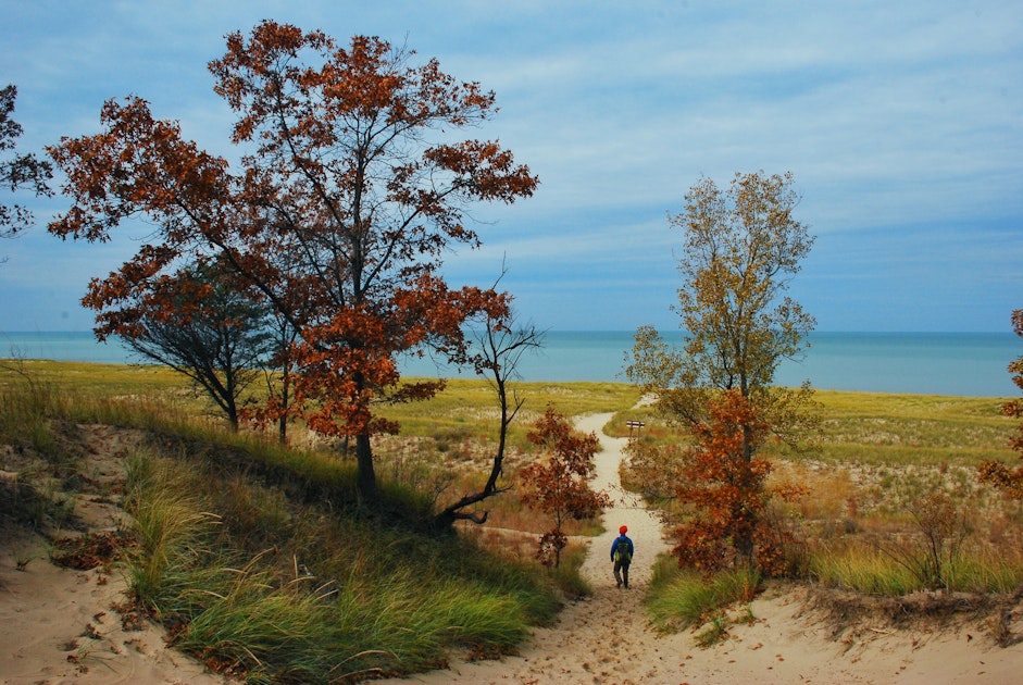 Hike the Cowles Bog Trail, Indiana Dunes National Lakeshore, Dune Acres