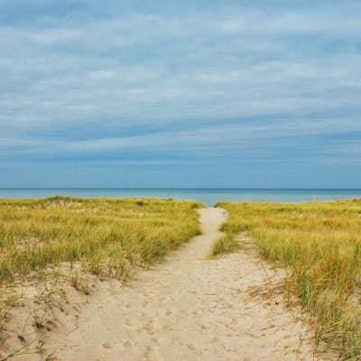 Hike the Cowles Bog Trail, Indiana Dunes National Lakeshore