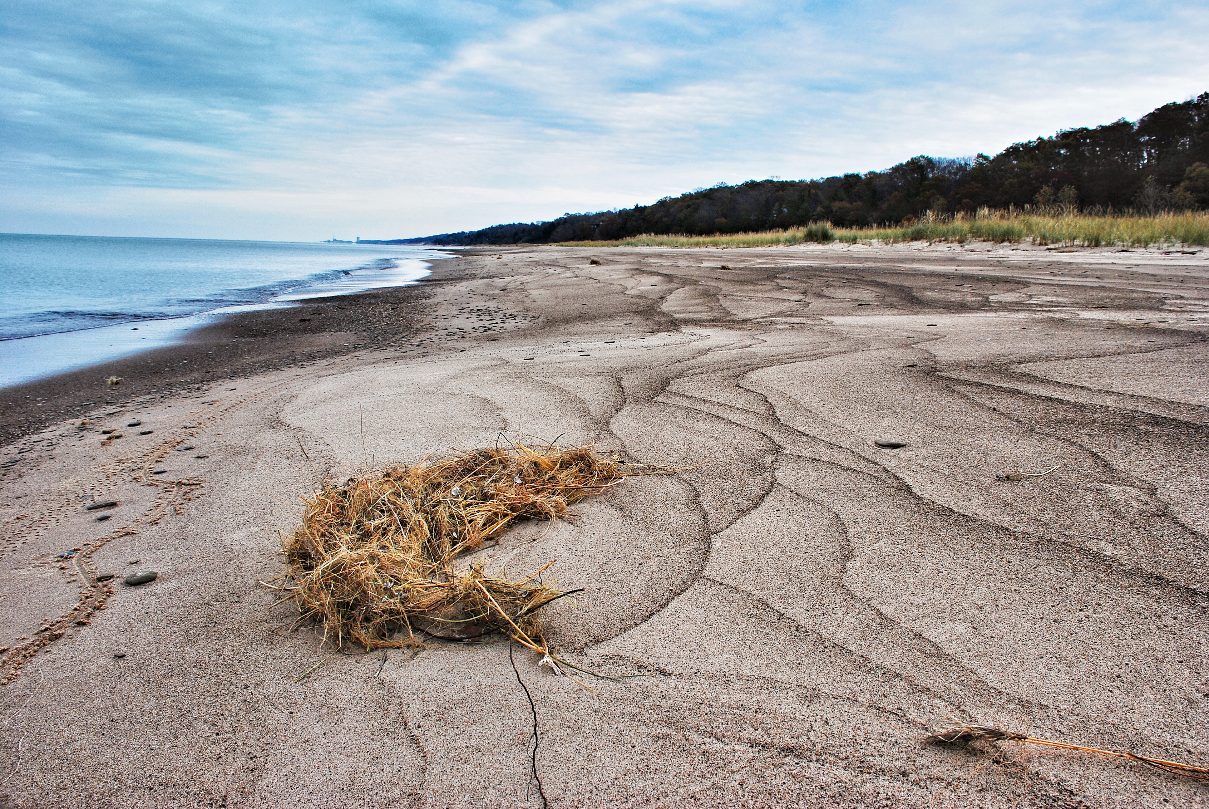 Hike the Cowles Bog Trail, Indiana Dunes National Lakeshore