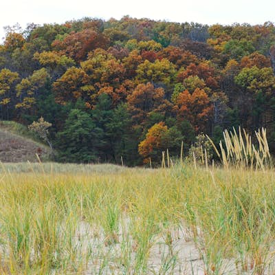 Hike the Cowles Bog Trail, Indiana Dunes National Lakeshore