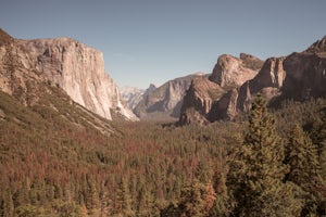 Road Trip from the Columbia River Gorge to Yosemite