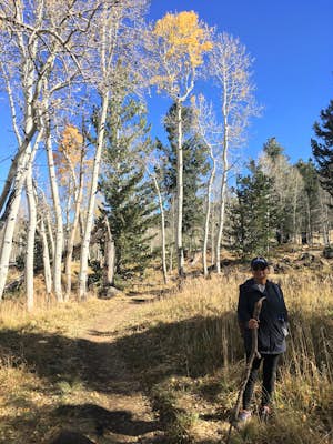 Hike the Aspen Nature Loop at Humphrey's Peak