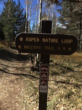 Hike the Aspen Nature Loop at Humphrey's Peak