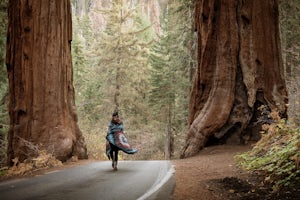 A Weekend Exploring Sequoia and King's Canyon National Parks