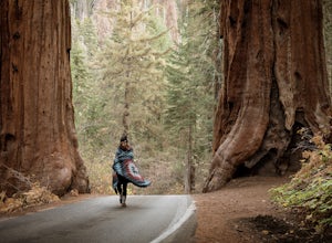 A Weekend Exploring Sequoia and King's Canyon National Parks
