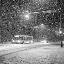 A Photo Walk in Whistler's First Snowfall of the Year