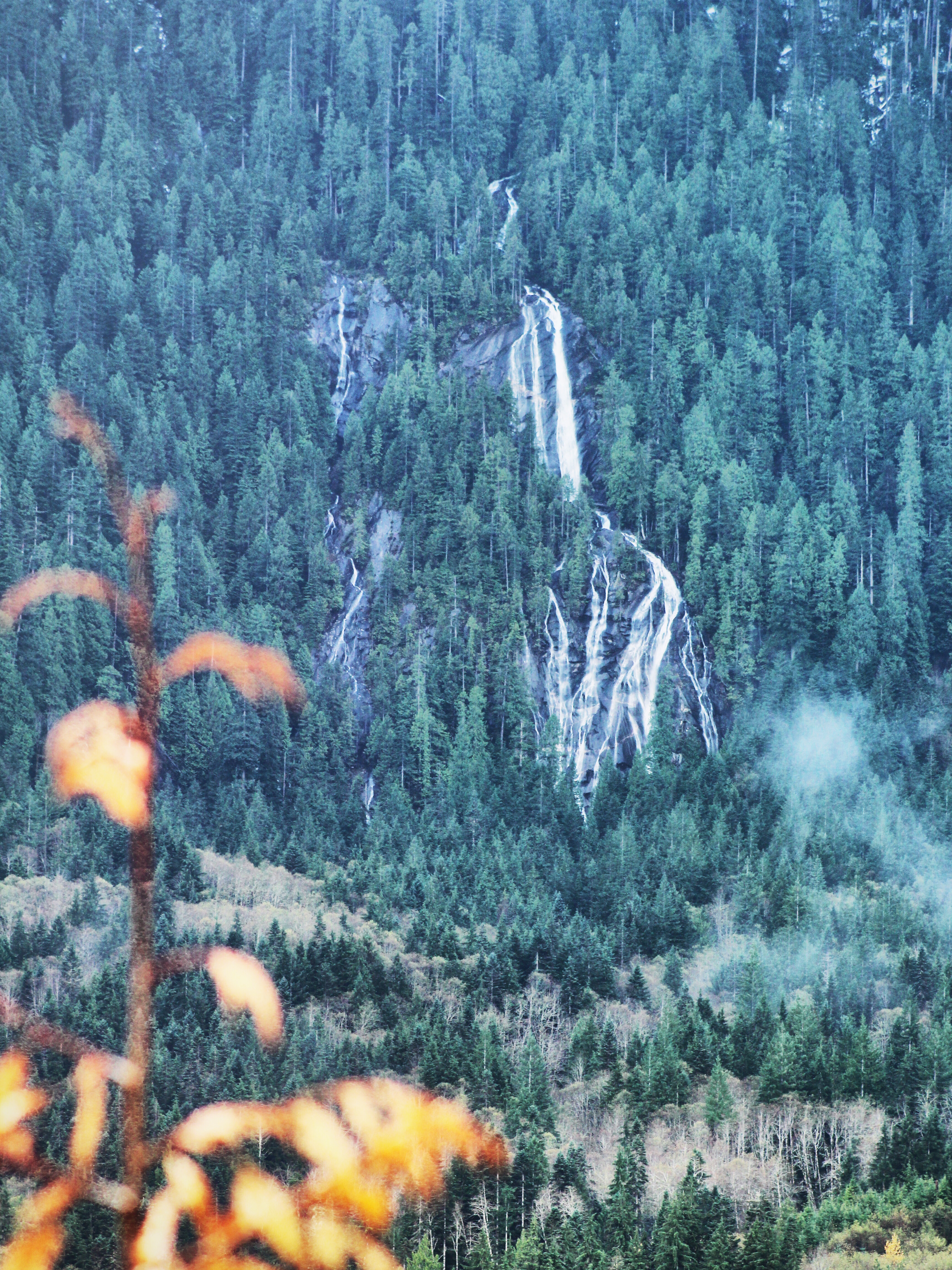 Heybrook Ridge 