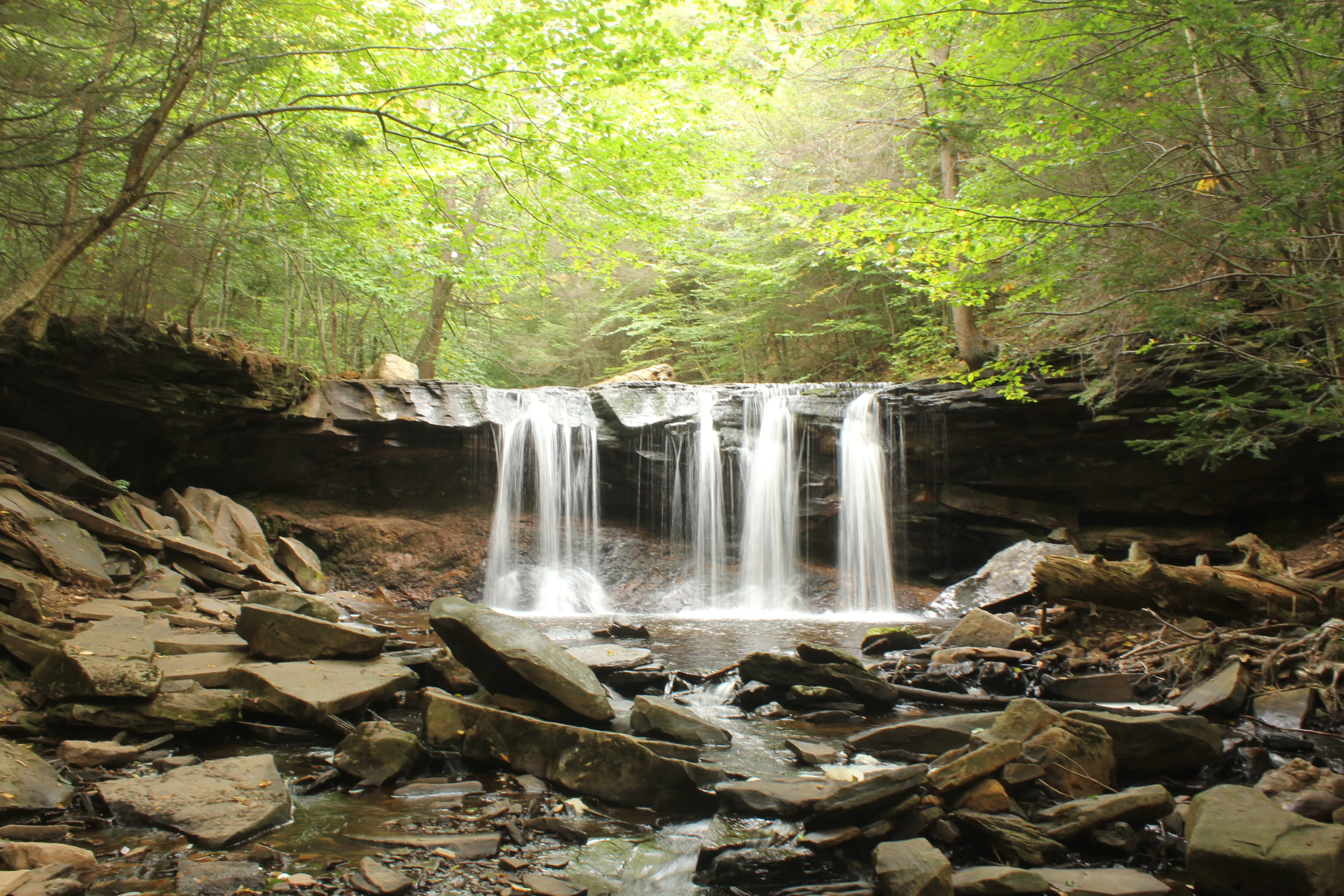 Camp at Ricketts Glen