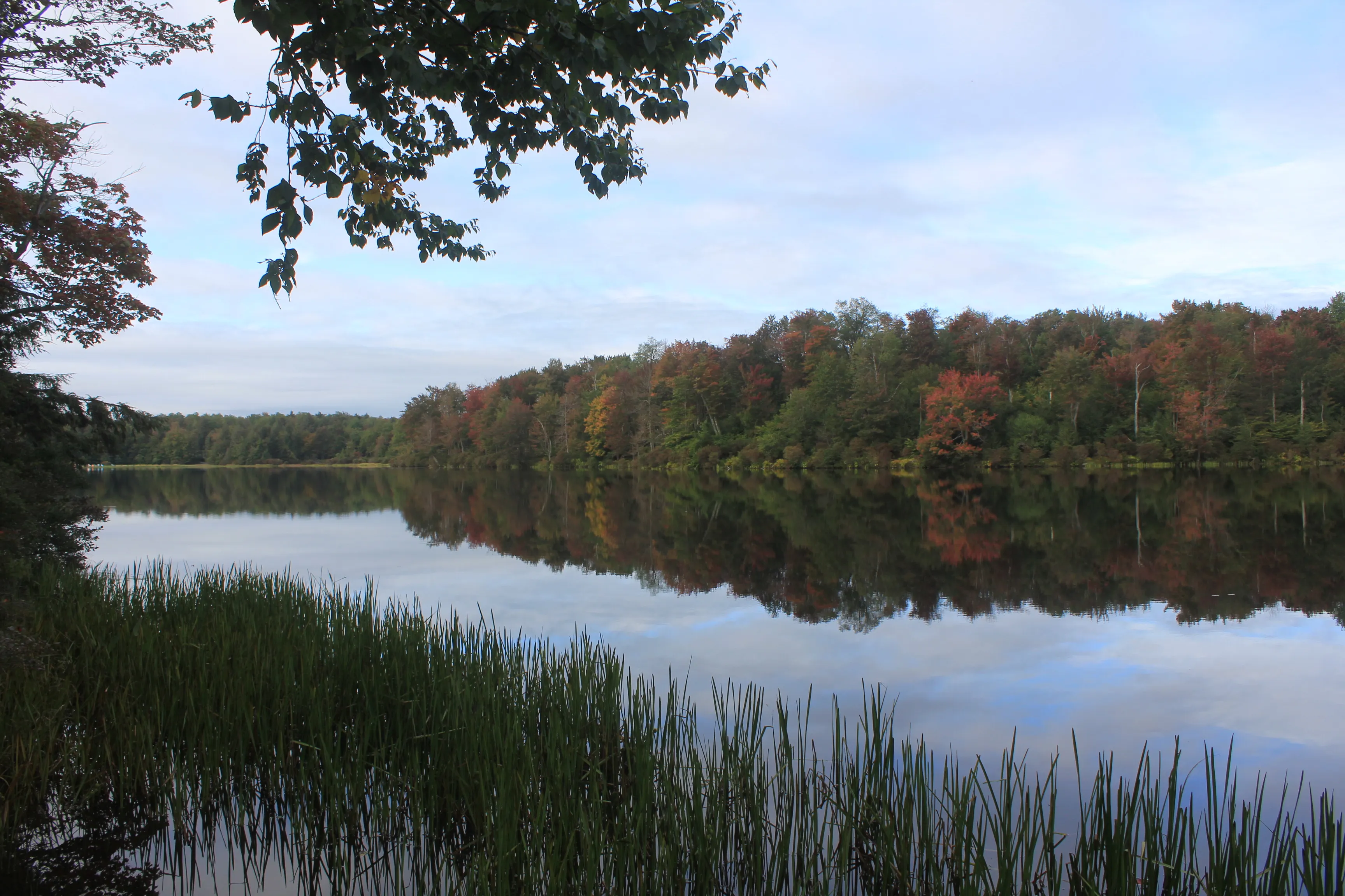 Camp at Ricketts Glen