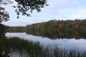 Camp at Ricketts Glen