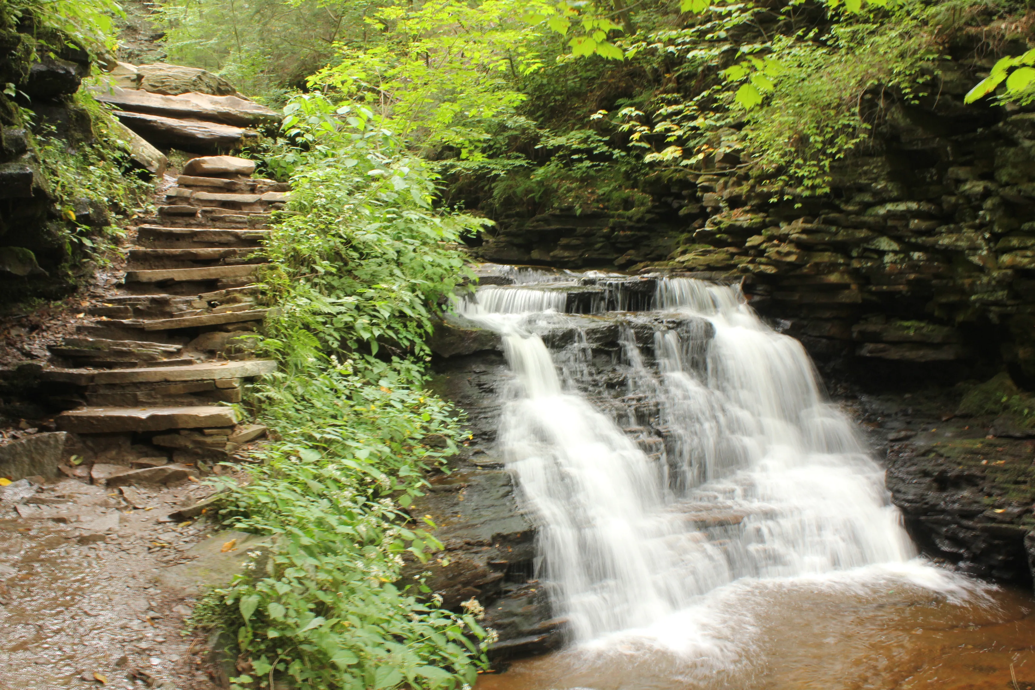 Camp at Ricketts Glen