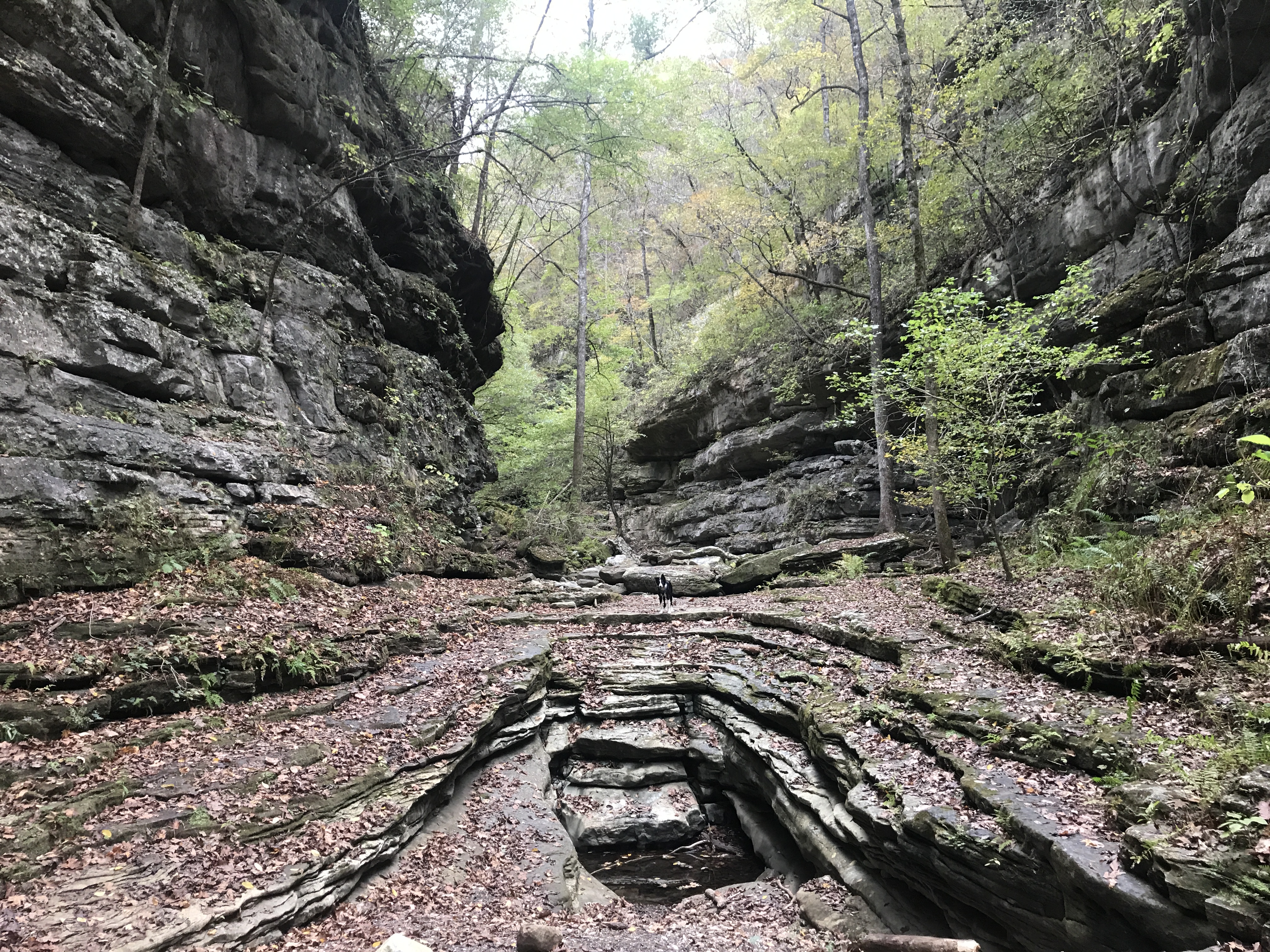 Backpacking Cecil Creek Harrison Arkansas