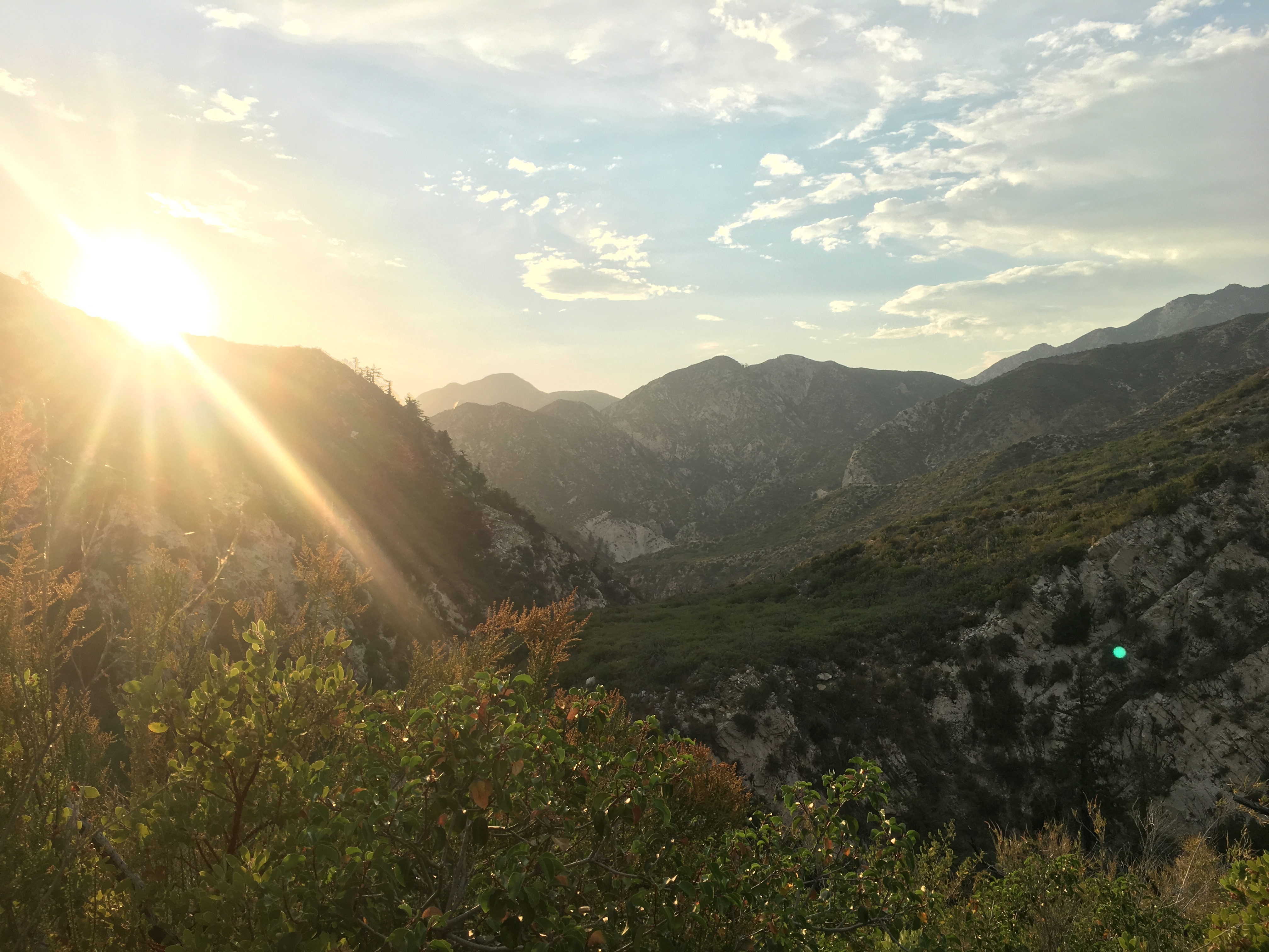 Bear Canyon via Switzer Falls Trailhead