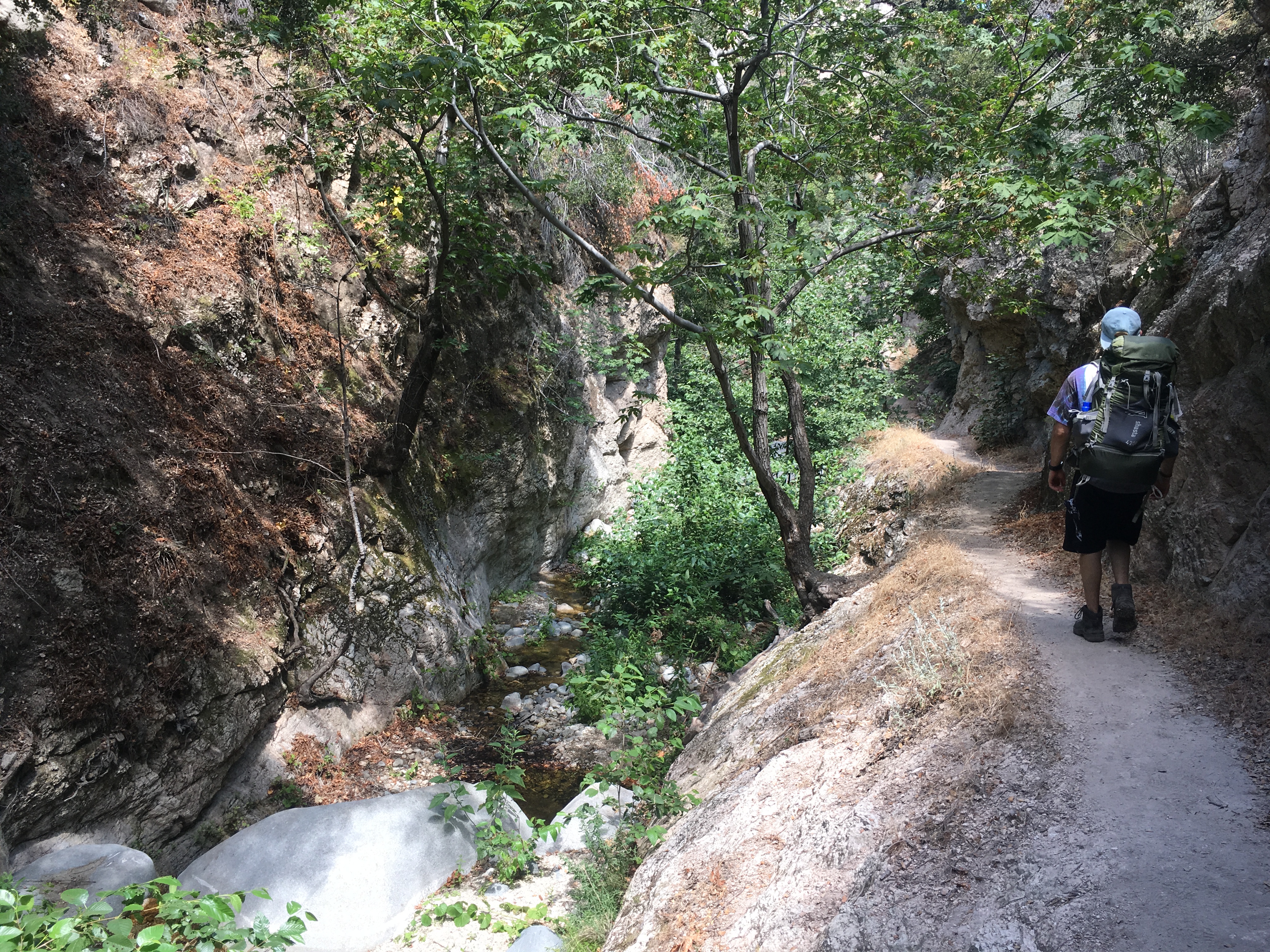 Bear Canyon via Switzer Falls Trailhead