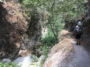 Bear Canyon via Switzer Falls Trailhead