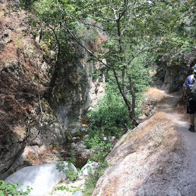 Bear Canyon via Switzer Falls Trailhead
