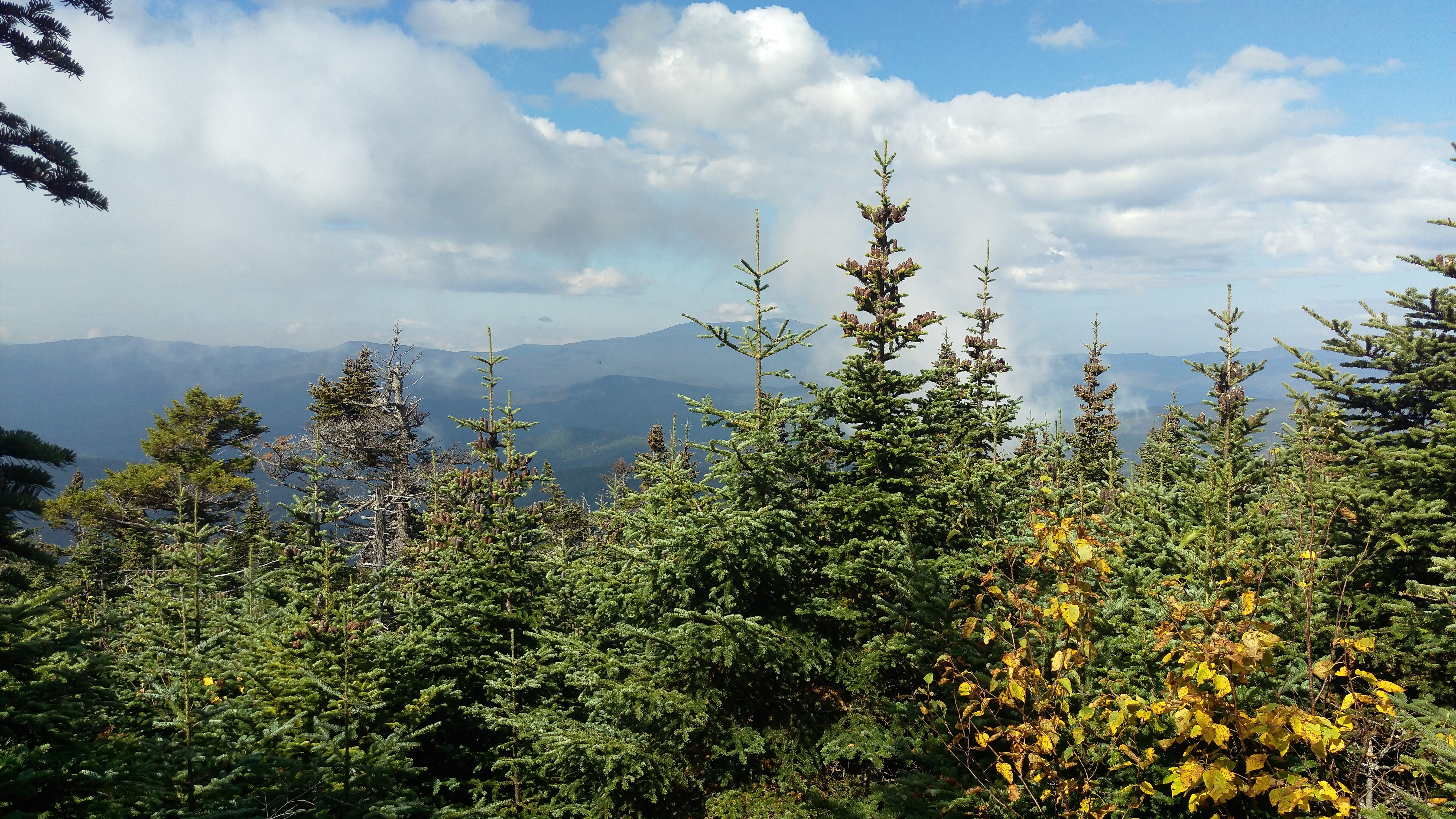 Mount Tecumseh via Tripoli Road