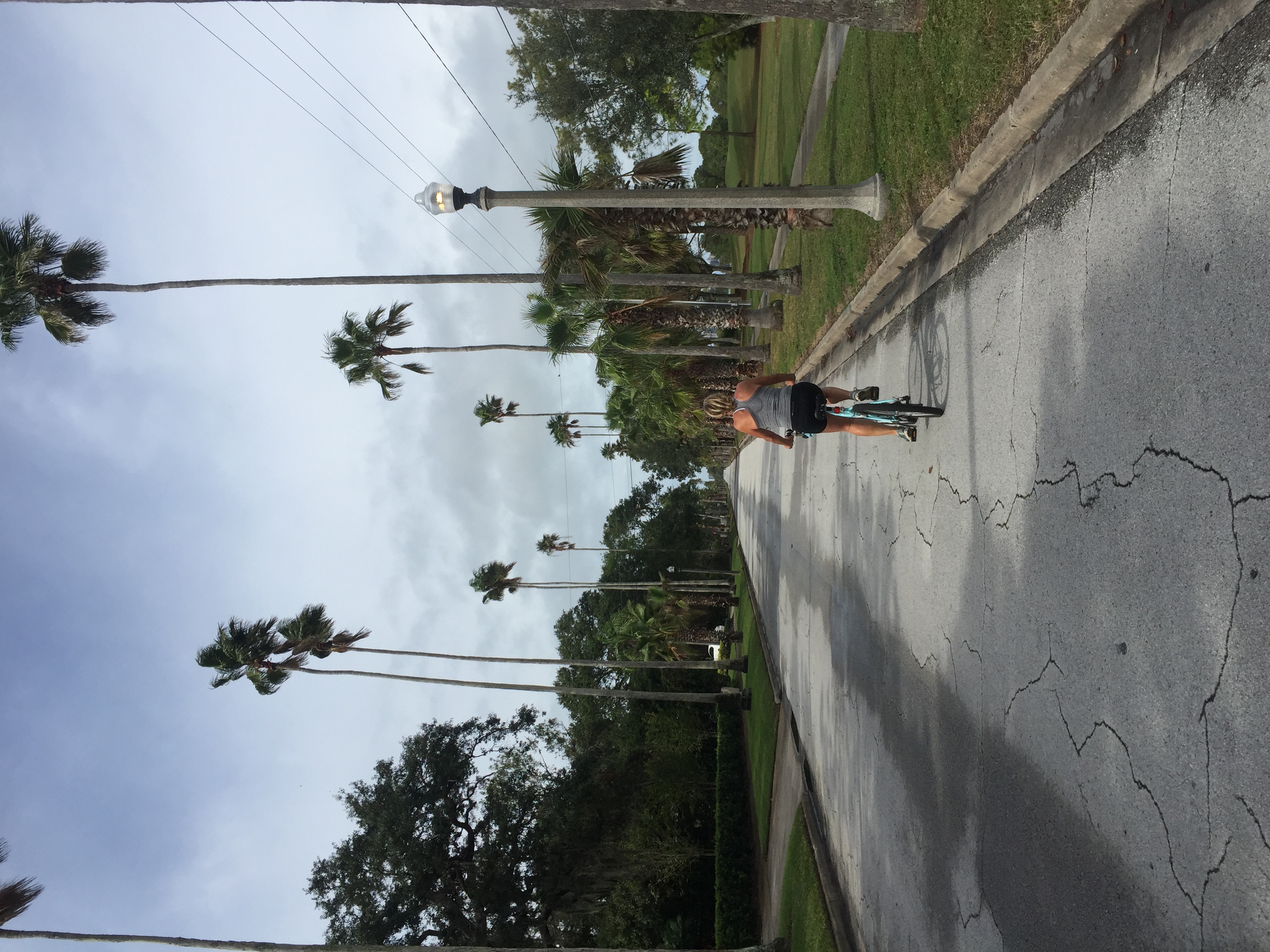 Bike the Clearwater Causeways