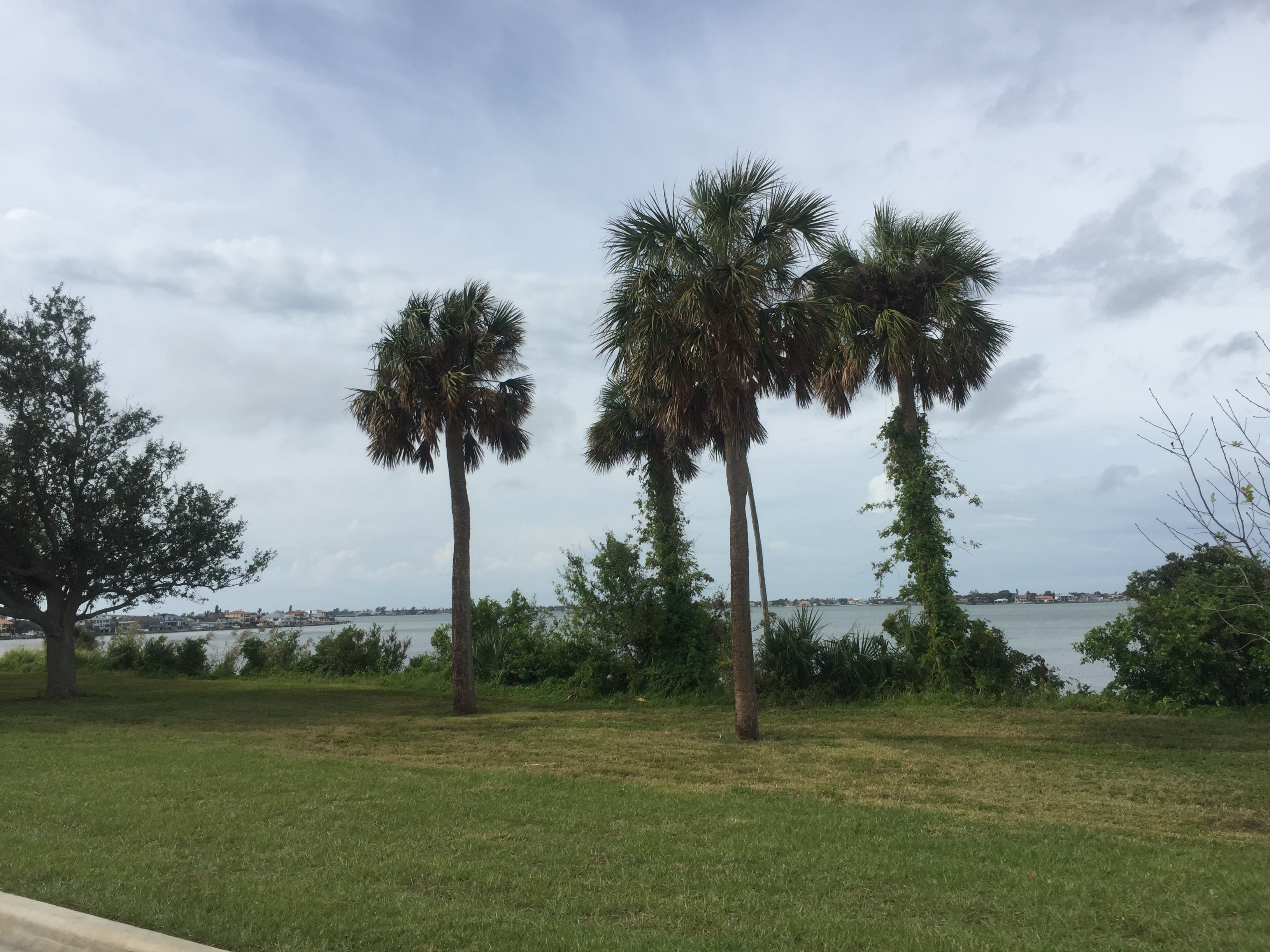 Bike the Clearwater Causeways